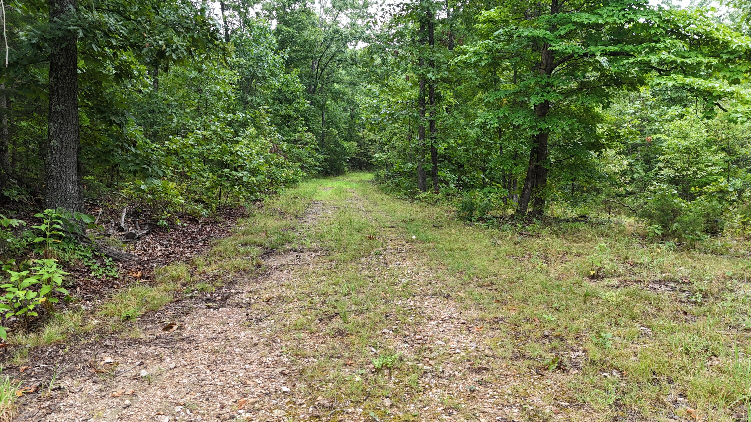 Photo 11 - Land for sale – 0000  County Road Jj-416   Ava, MO