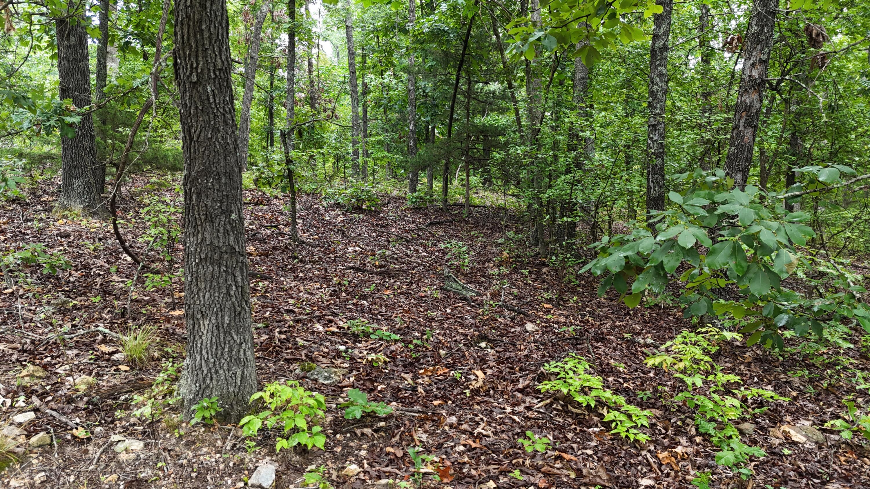 Photo 8 - Land for sale – 0000  County Road Jj-416   Ava, MO