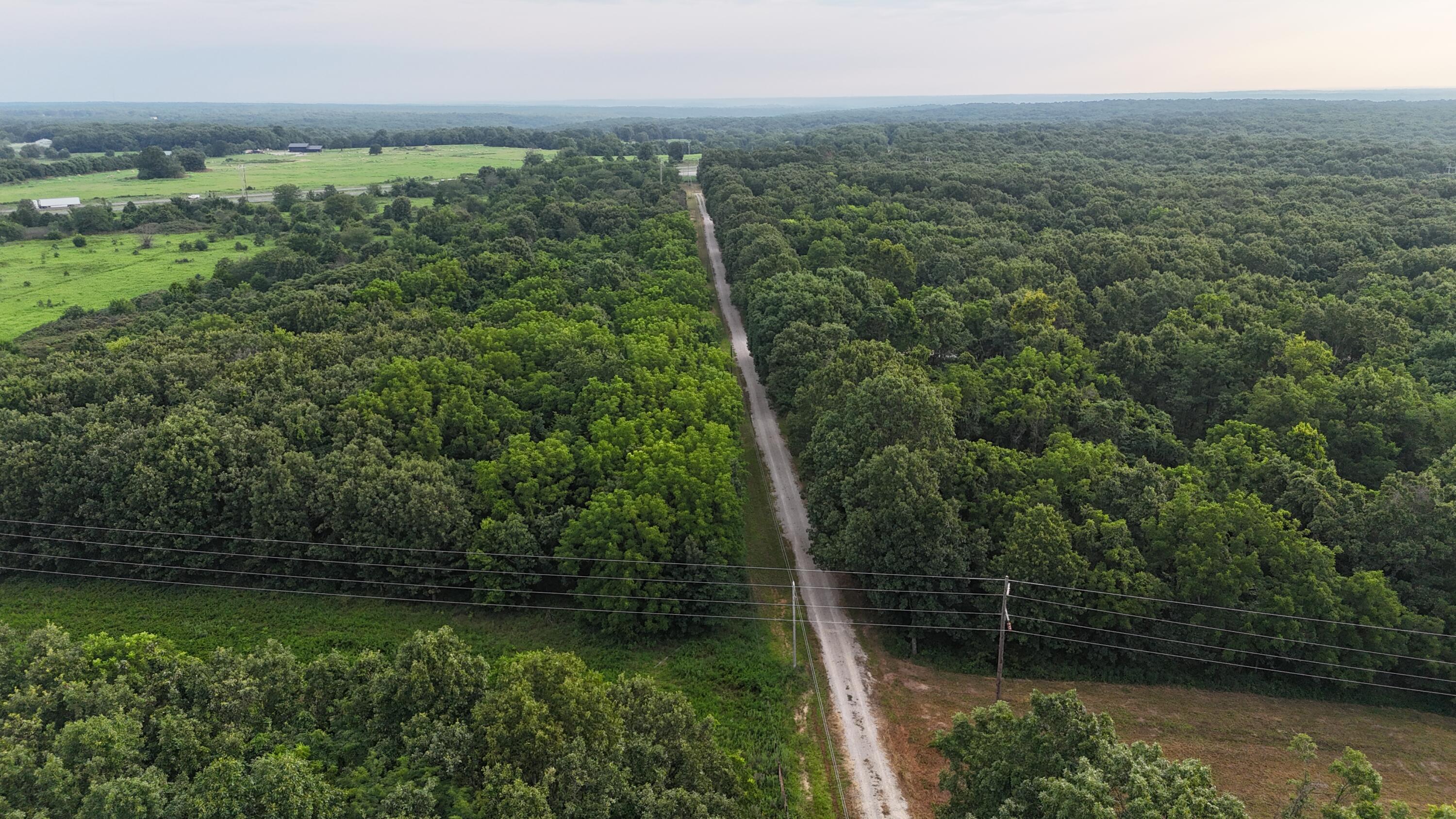 Photo 6 - Land for sale – Lot 3  County Rd 2100   Mt Vernon, MO