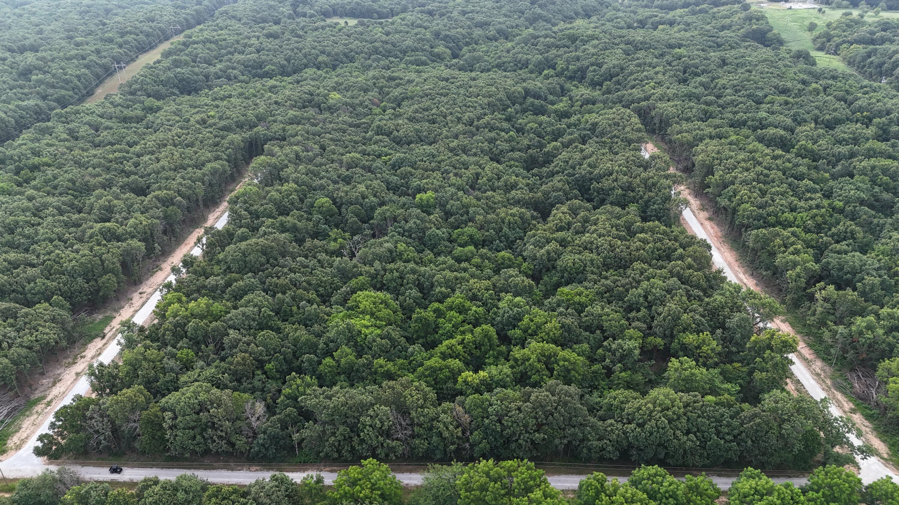 Photo 7 - Land for sale – Lot 8  County Rd 2100   Mt Vernon, MO