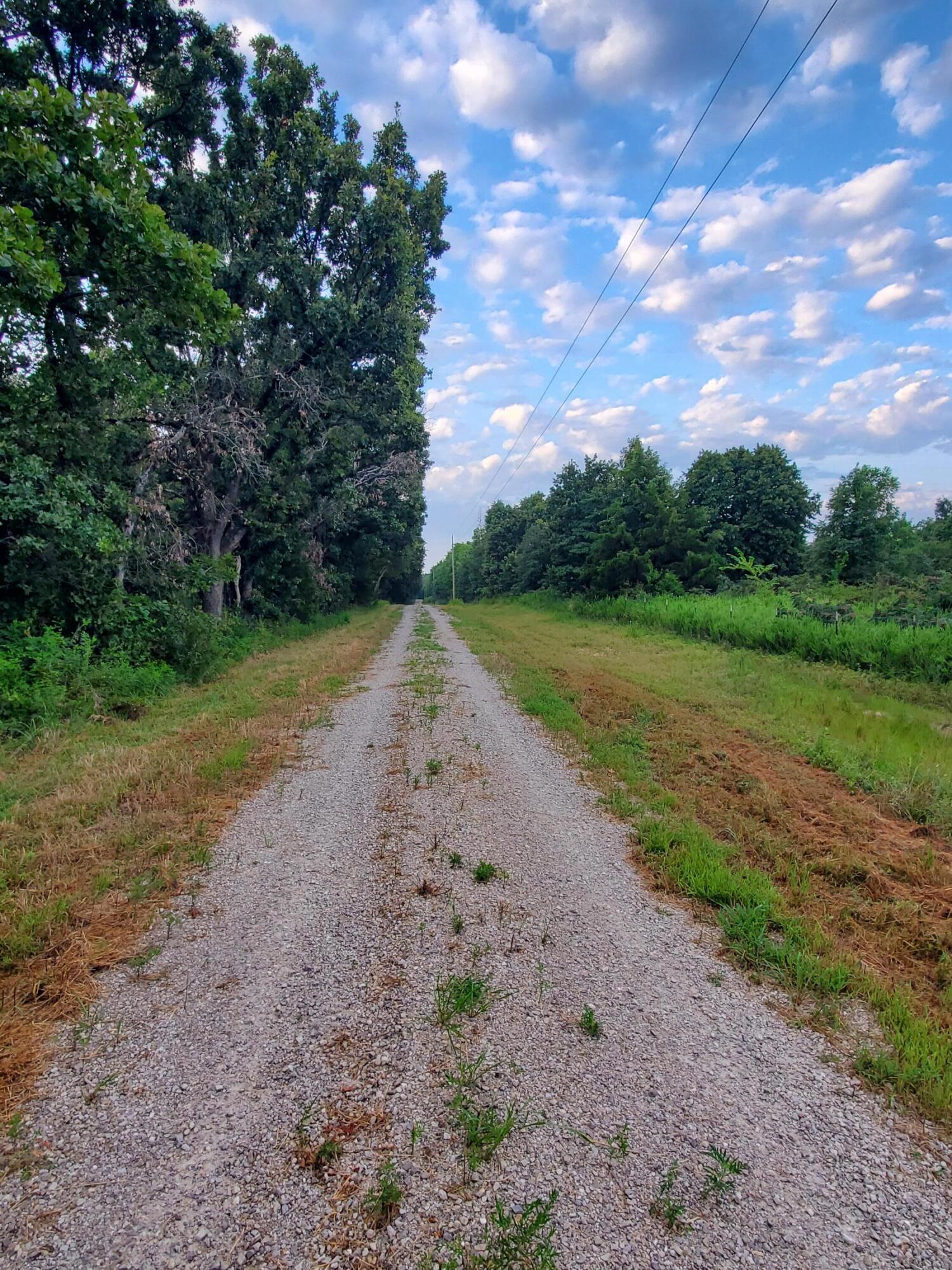 Photo 5 - Land for sale – Lot 10  County Rd 2100   Mt Vernon, MO