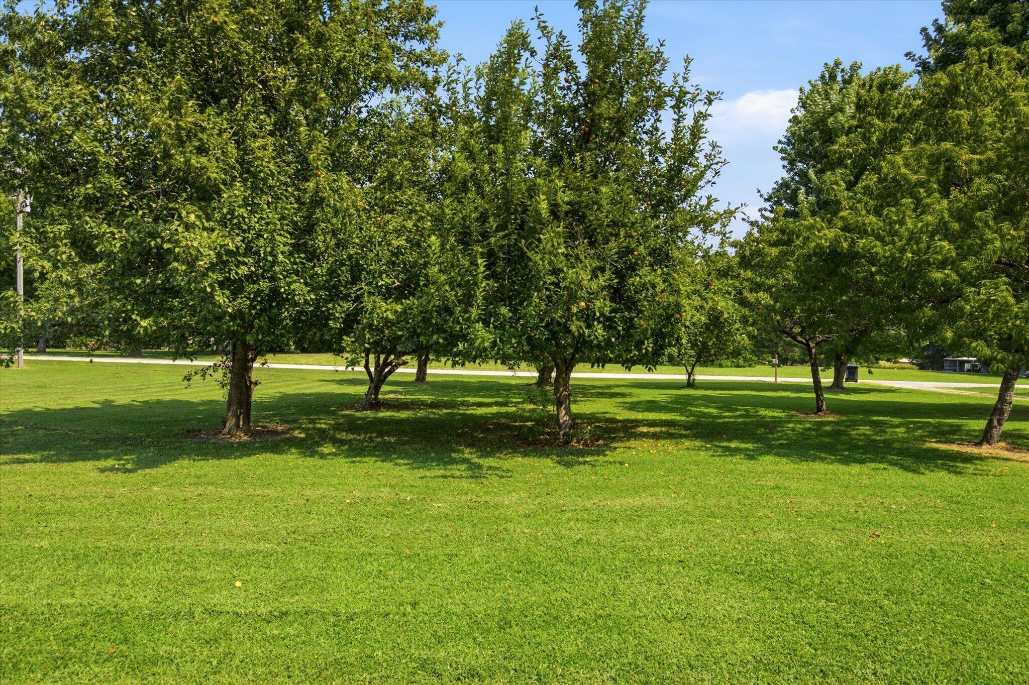 Photo 56 - Residential for sale – 195  Meadow Hill Lane  Rogersville, MO