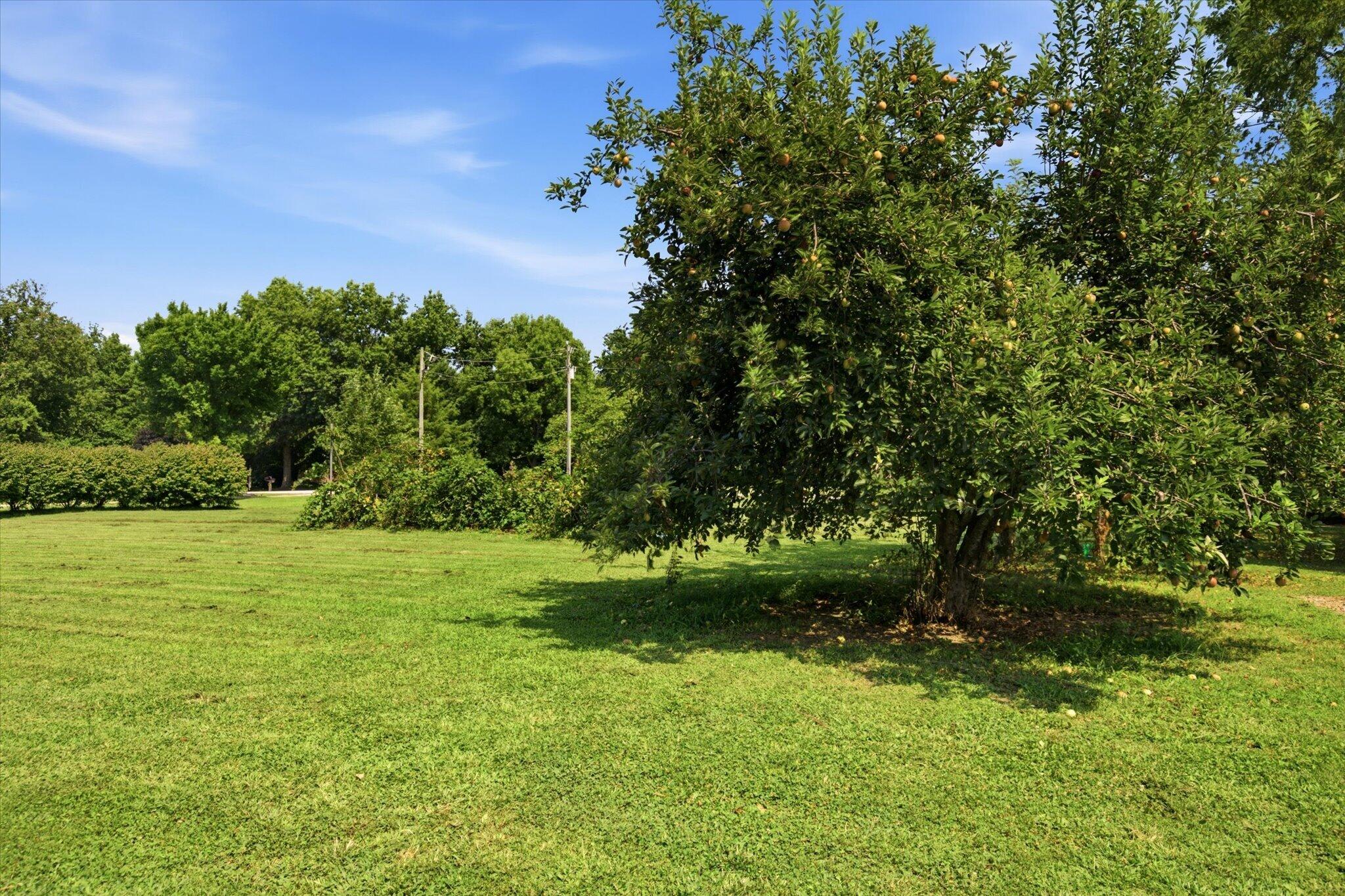 Photo 55 - Residential for sale – 195  Meadow Hill Lane  Rogersville, MO