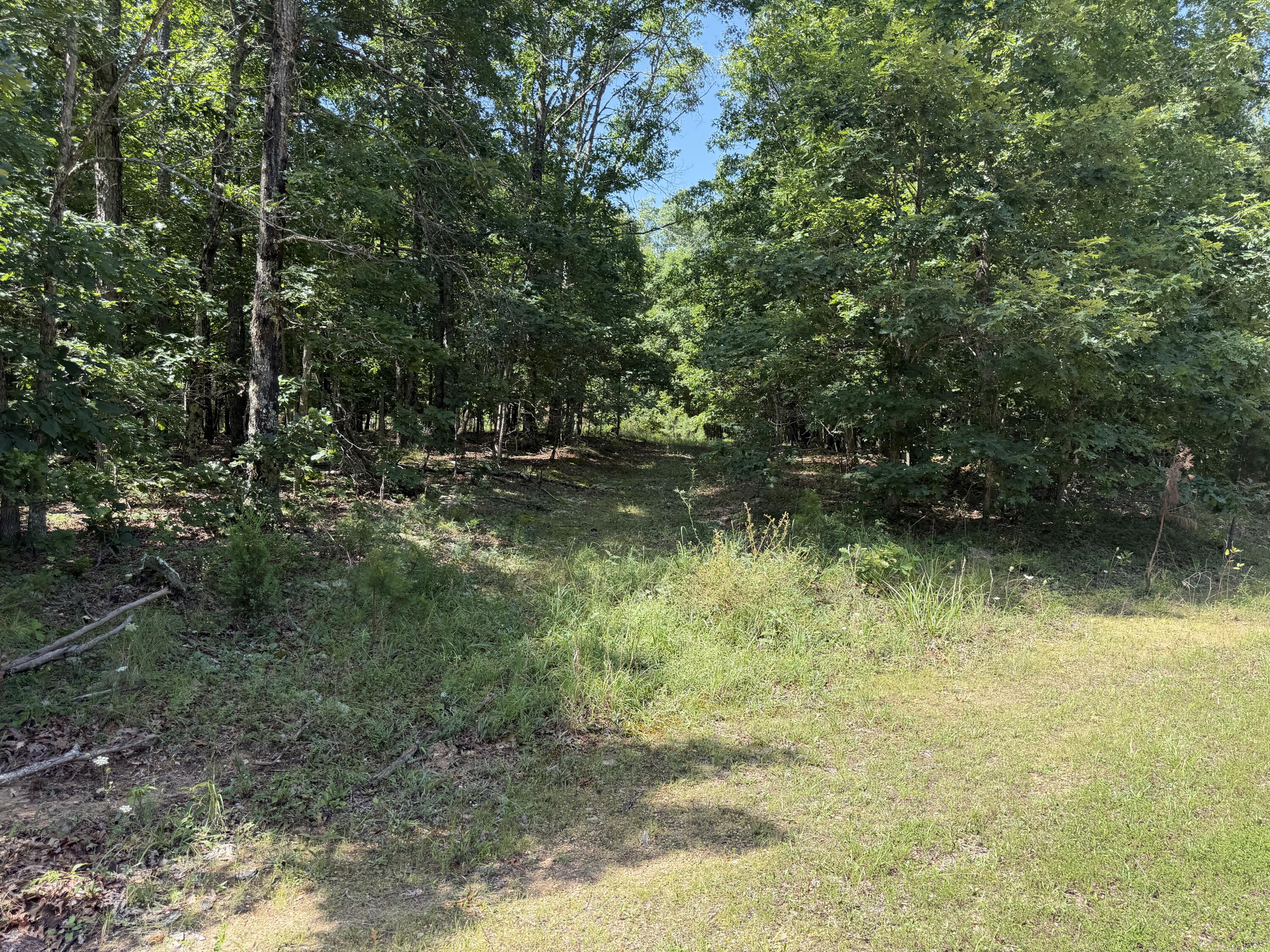 Land for sale – 000  Golden   Raymondville, MO