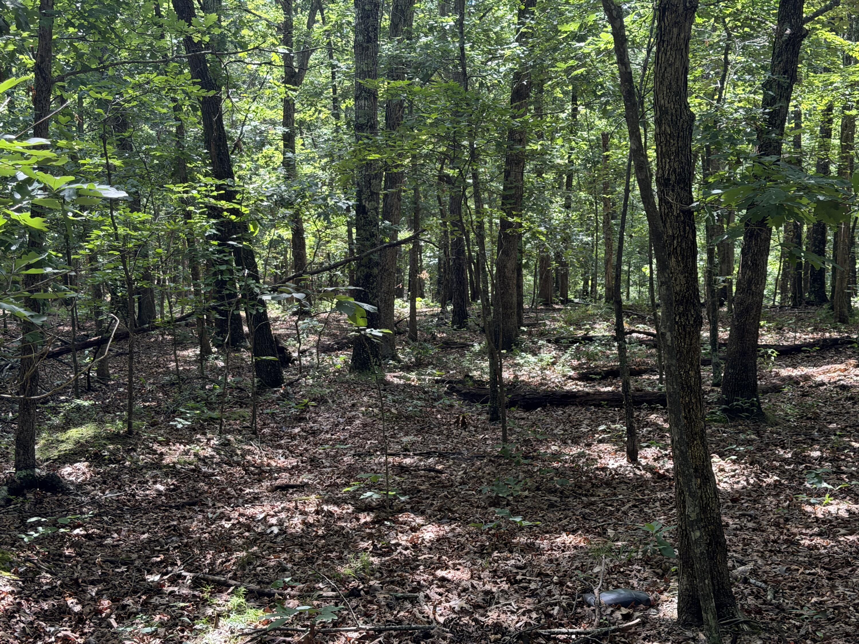Photo 19 - Land for sale – 000  Golden   Raymondville, MO