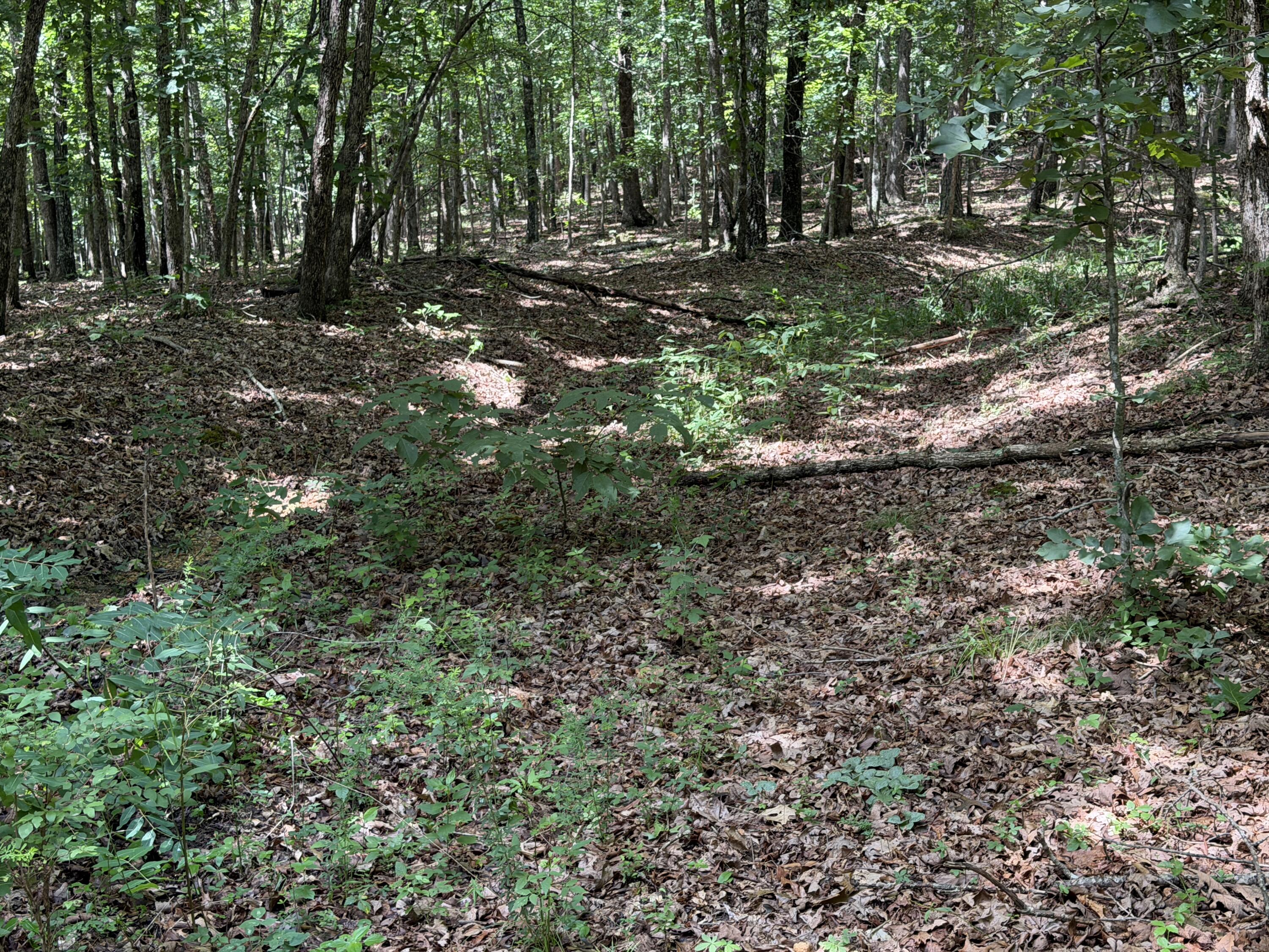 Photo 5 - Land for sale – 000  Golden   Raymondville, MO