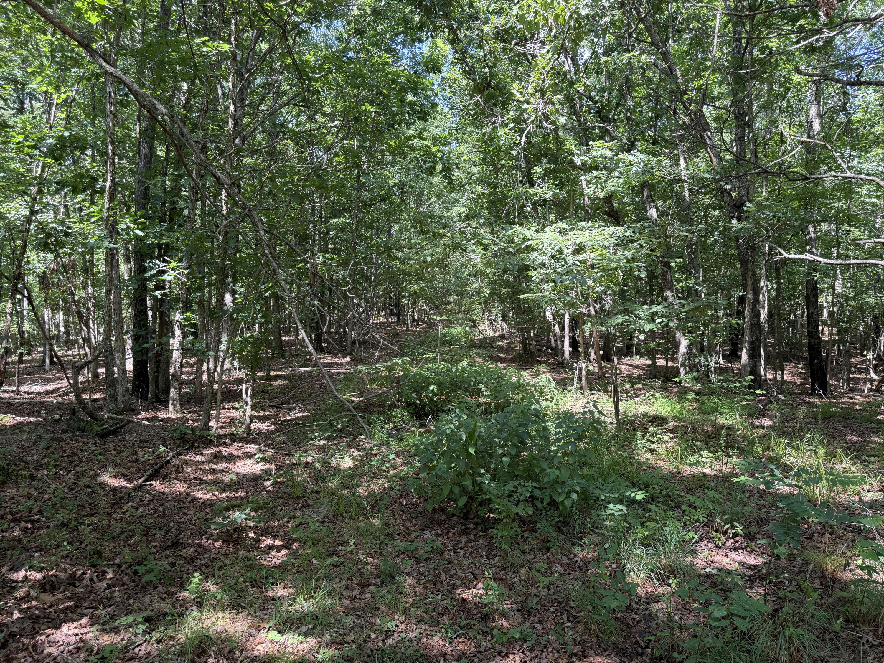 Photo 21 - Land for sale – 000  Golden   Raymondville, MO