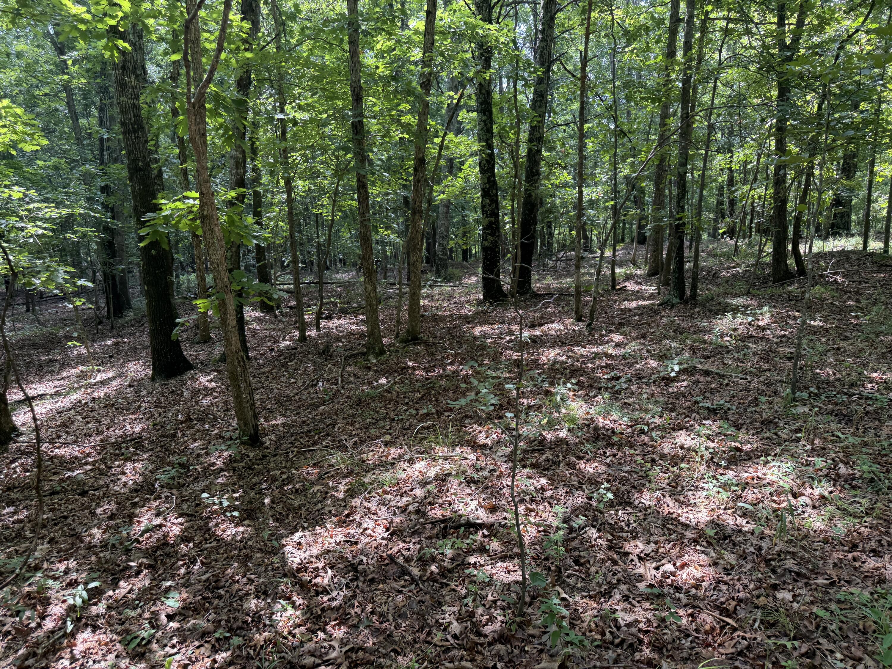 Photo 20 - Land for sale – 000  Golden   Raymondville, MO