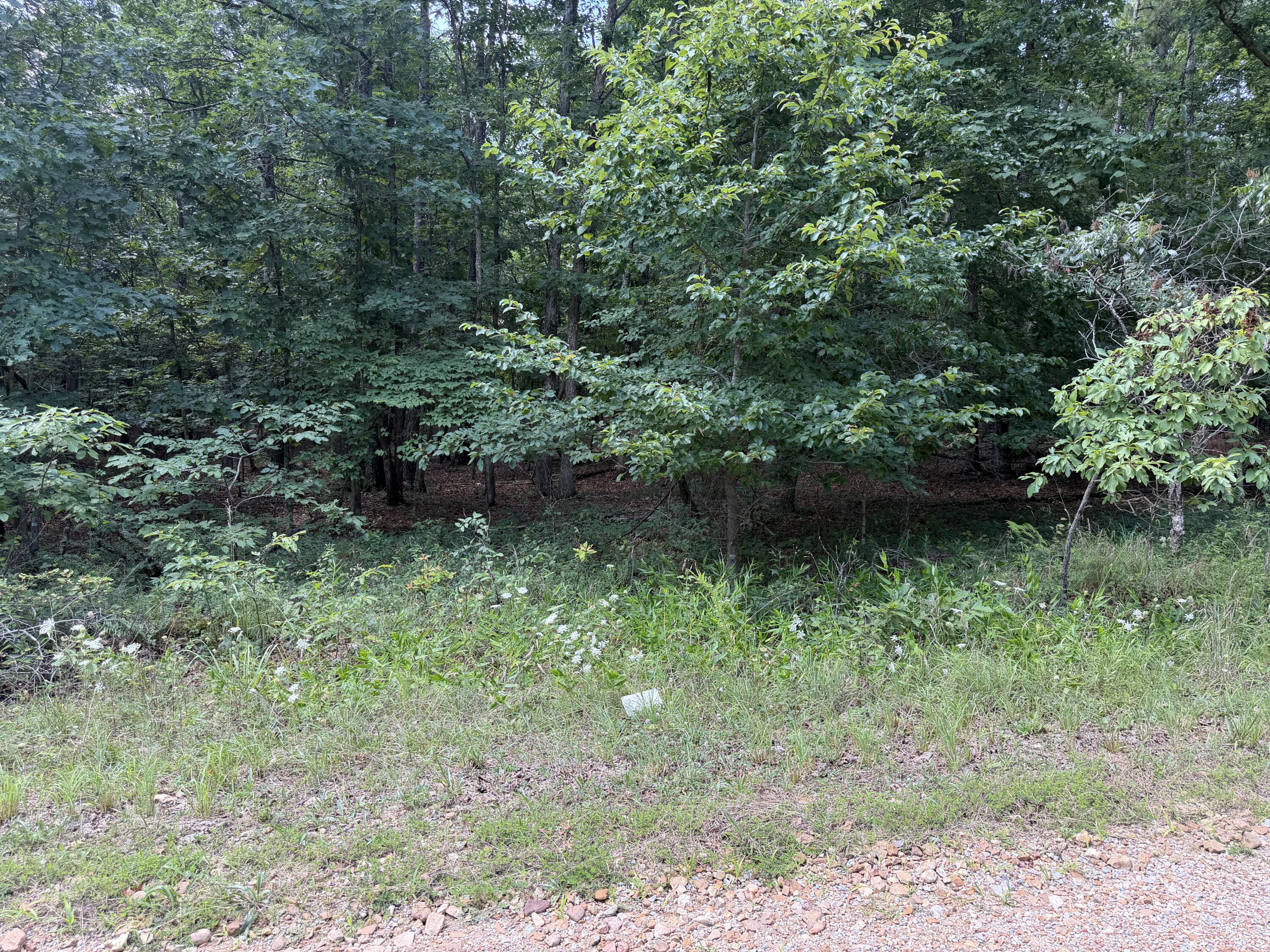 Photo 6 - Land for sale – 000  Golden   Raymondville, MO