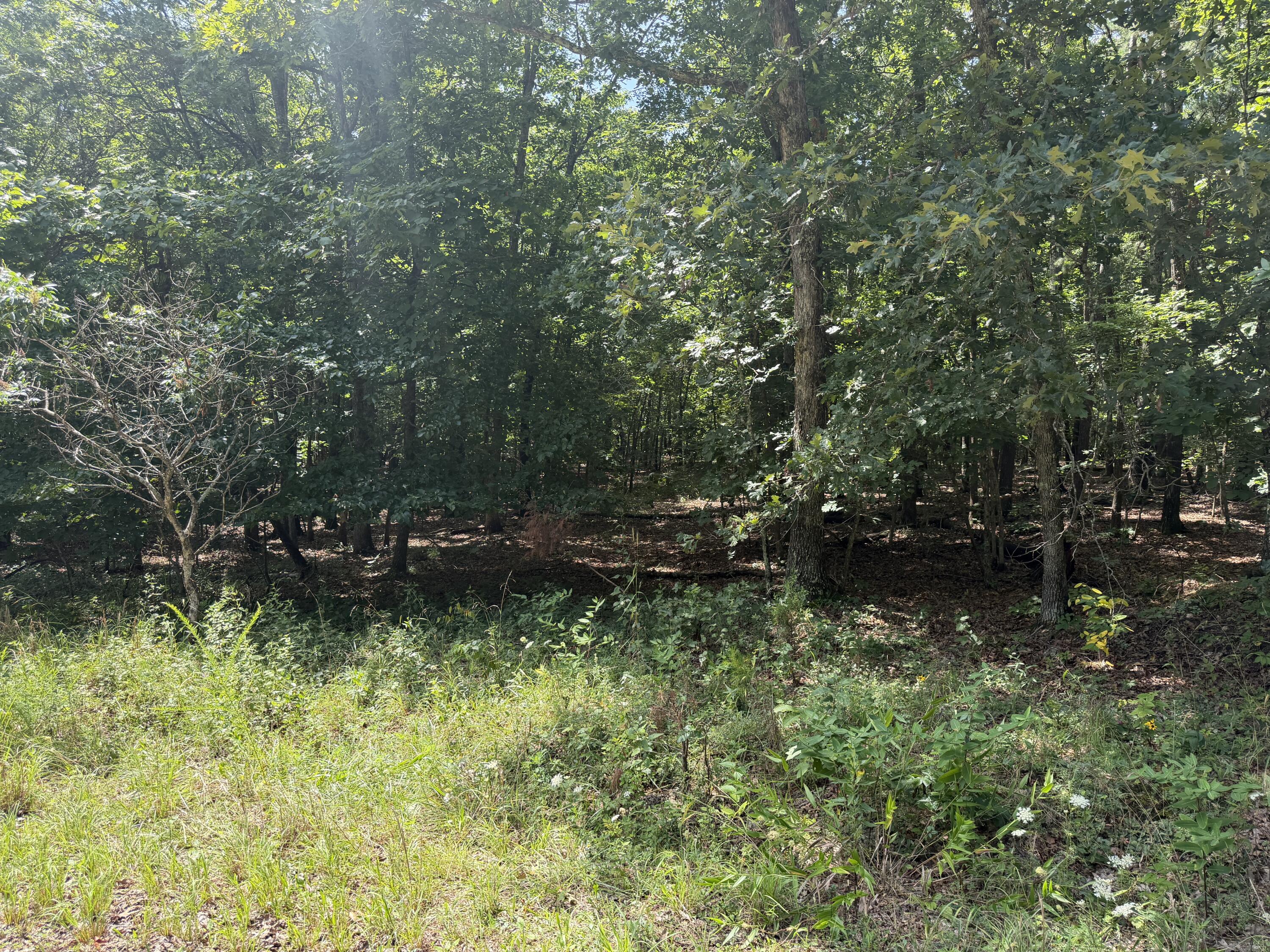 Photo 3 - Land for sale – 000  Golden   Raymondville, MO