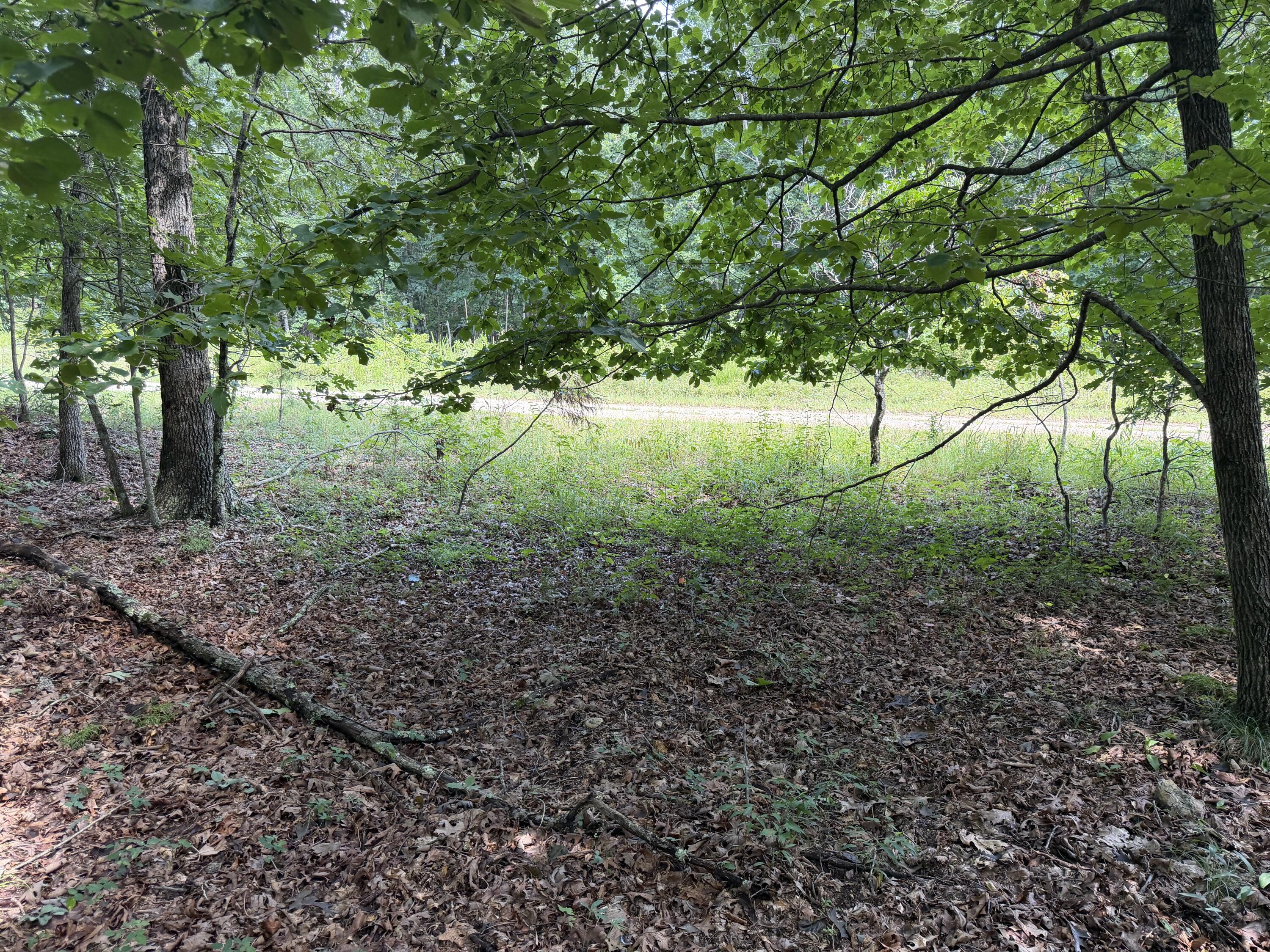 Photo 2 - Land for sale – 000  Golden   Raymondville, MO