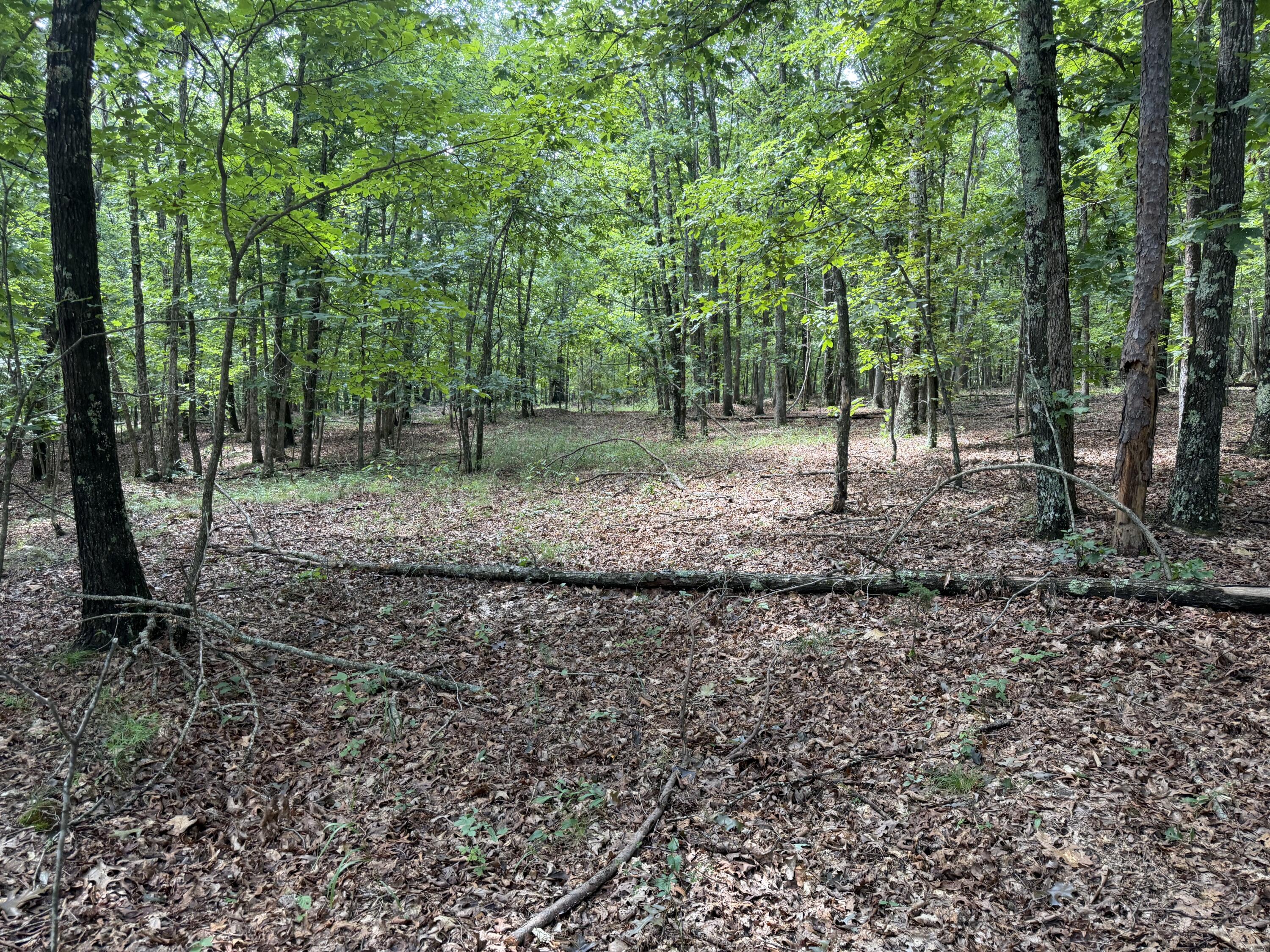 Photo 8 - Land for sale – 000  Golden   Raymondville, MO