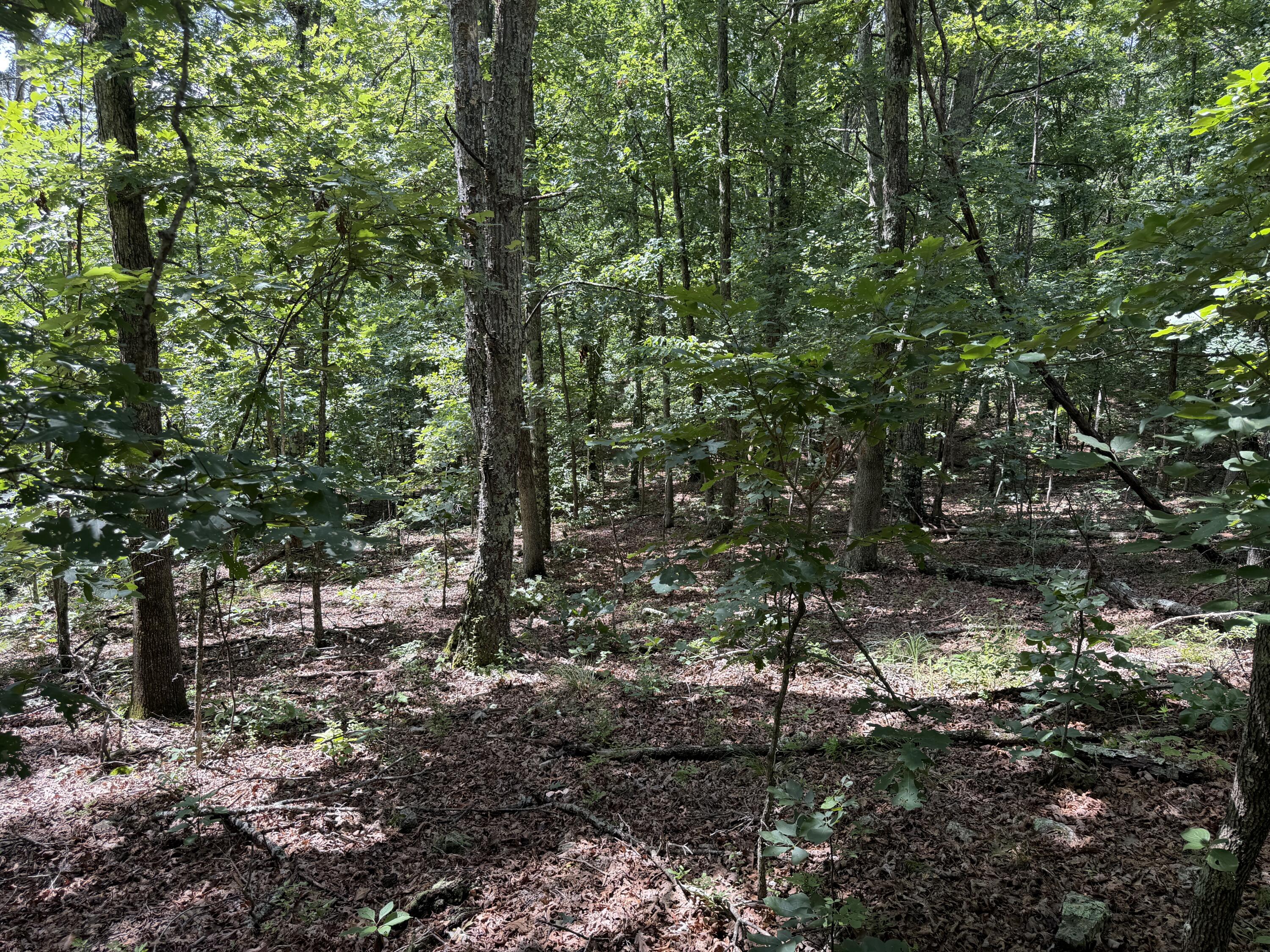 Photo 18 - Land for sale – 000  Golden   Raymondville, MO