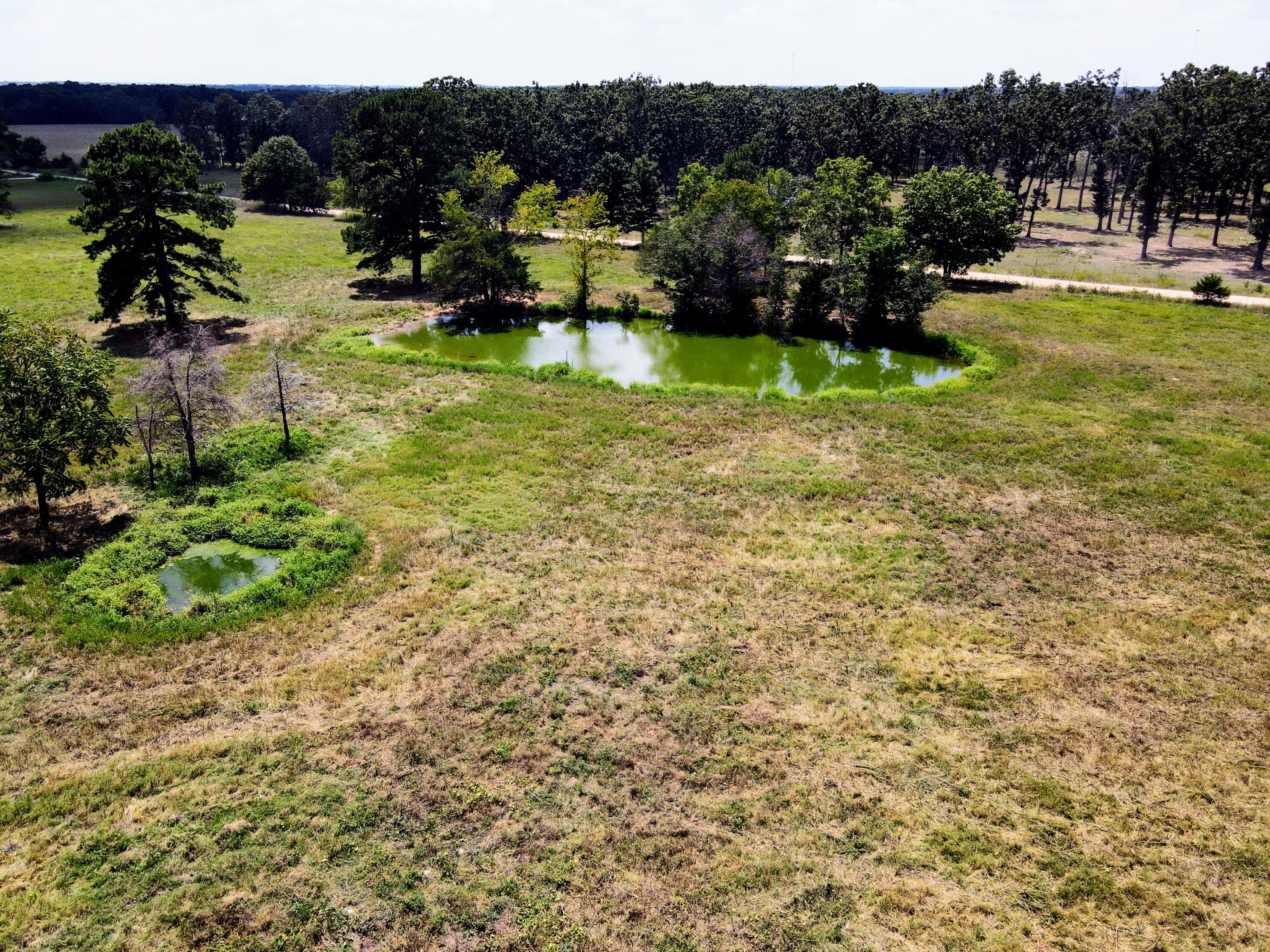 Photo 67 - Farm for sale – 4534  County Road 7000   West Plains, MO