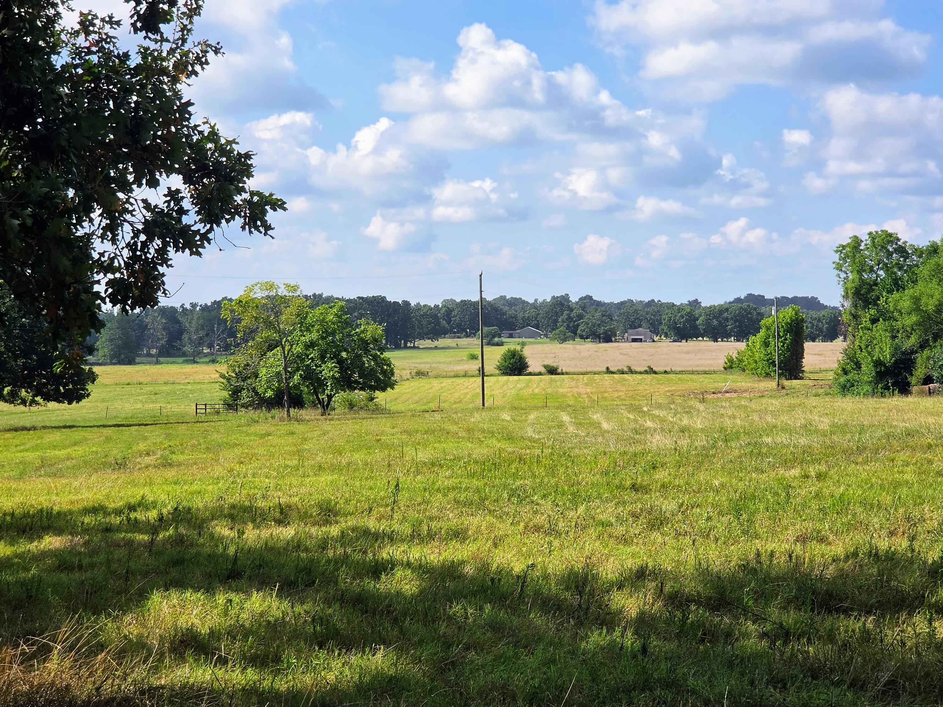 Photo 22 - Farm for sale – 4534  County Road 7000   West Plains, MO