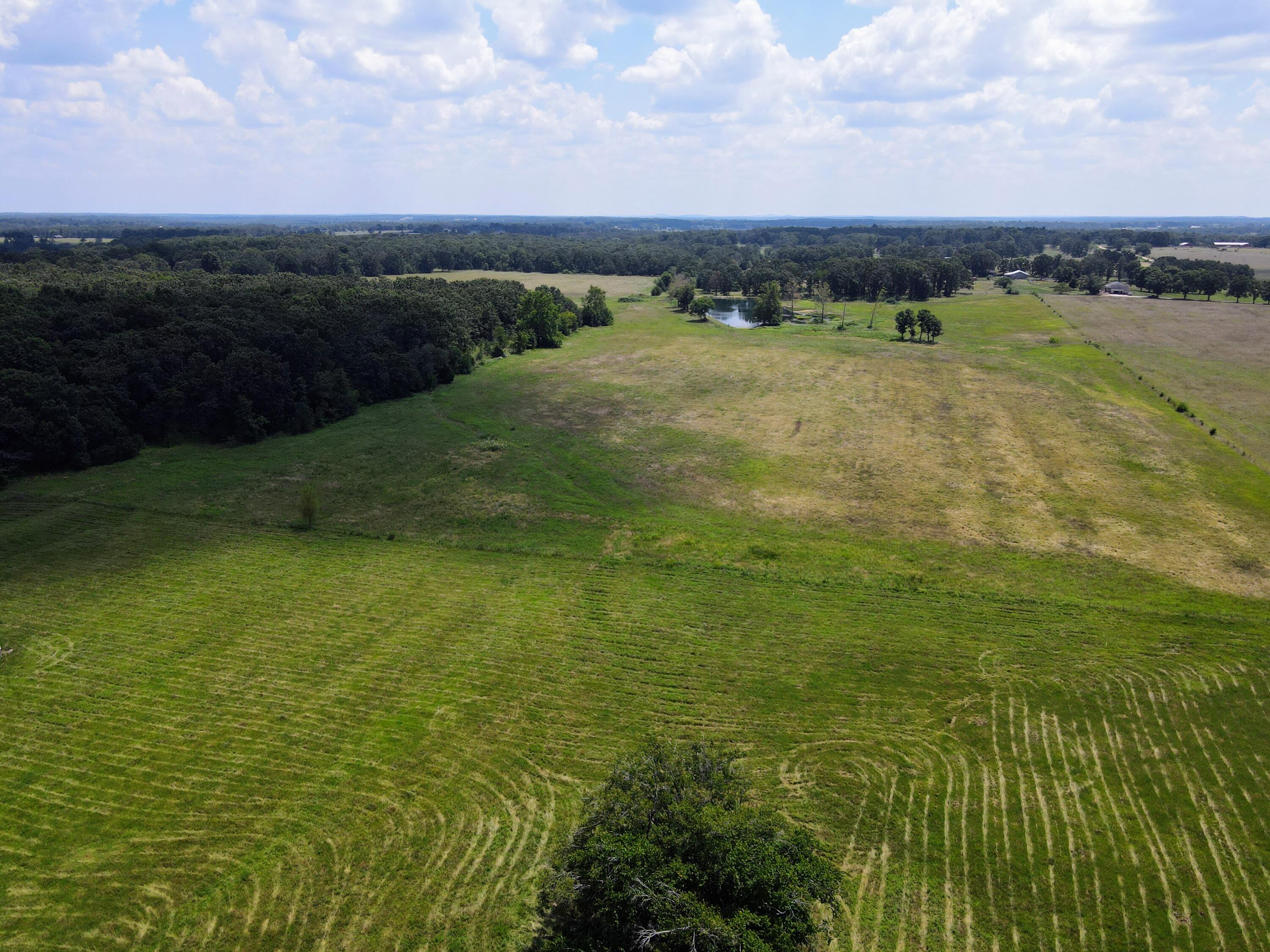 Photo 70 - Farm for sale – 4534  County Road 7000   West Plains, MO
