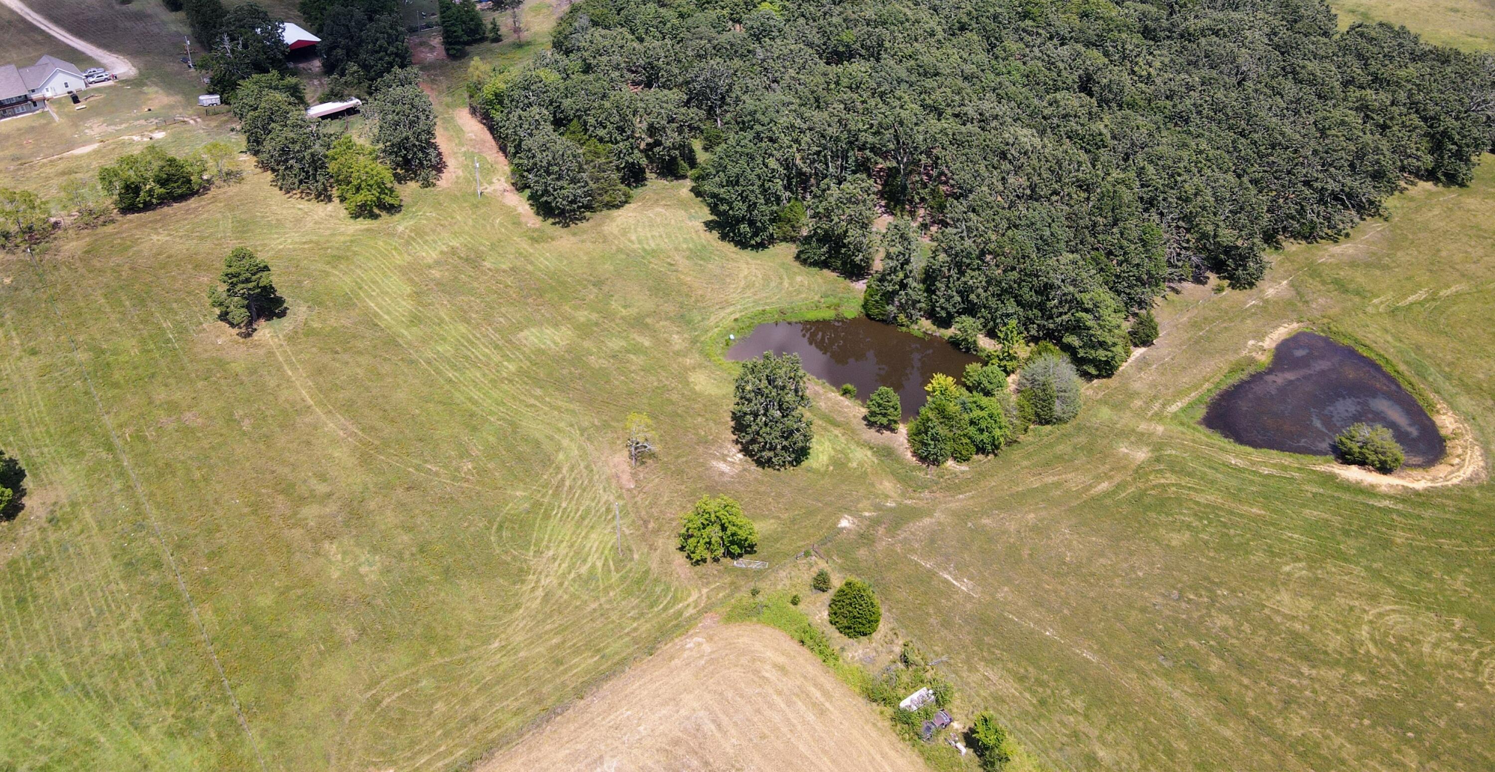 Photo 75 - Farm for sale – 4534  County Road 7000   West Plains, MO
