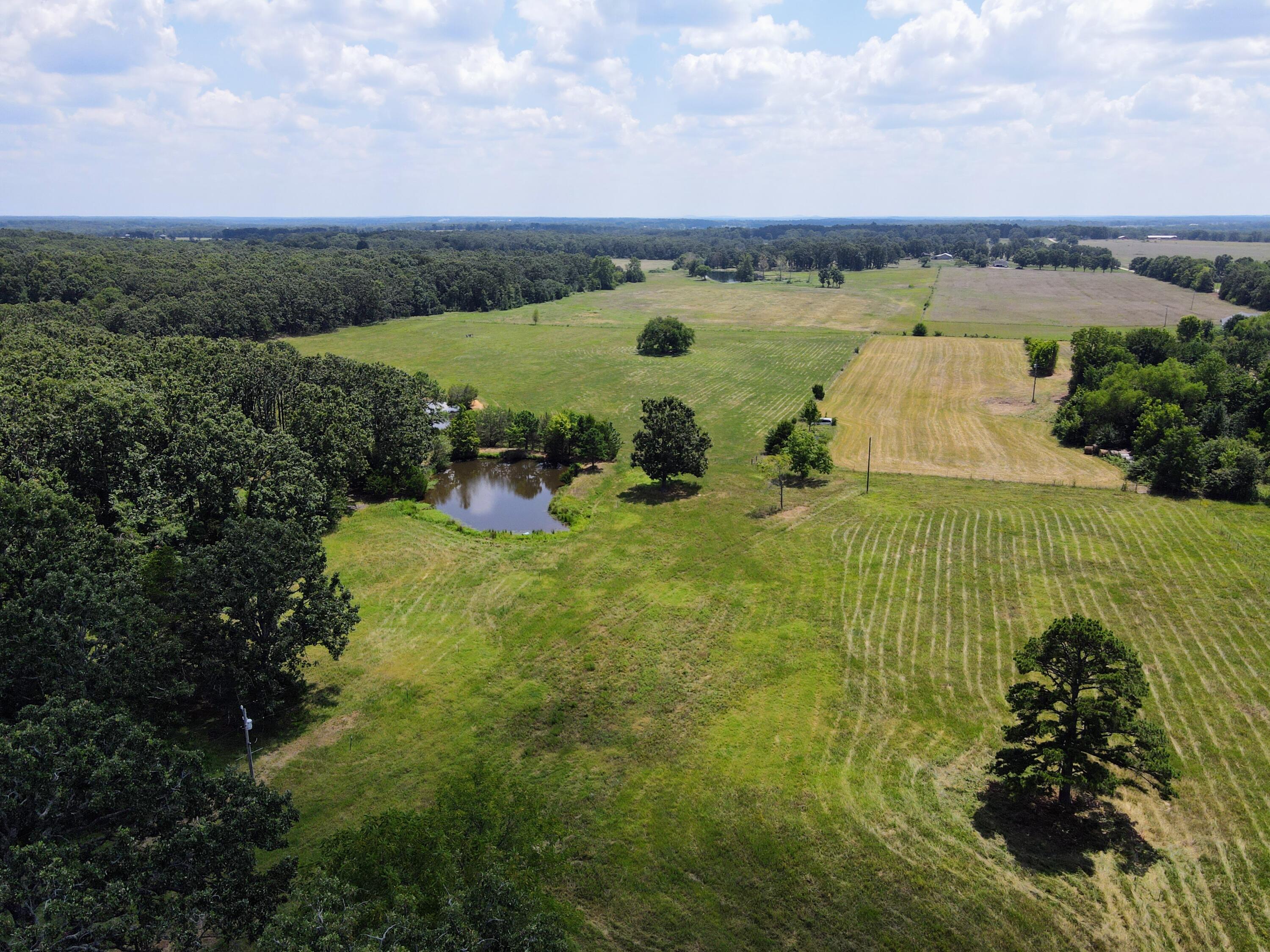 Photo 66 - Farm for sale – 4534  County Road 7000   West Plains, MO