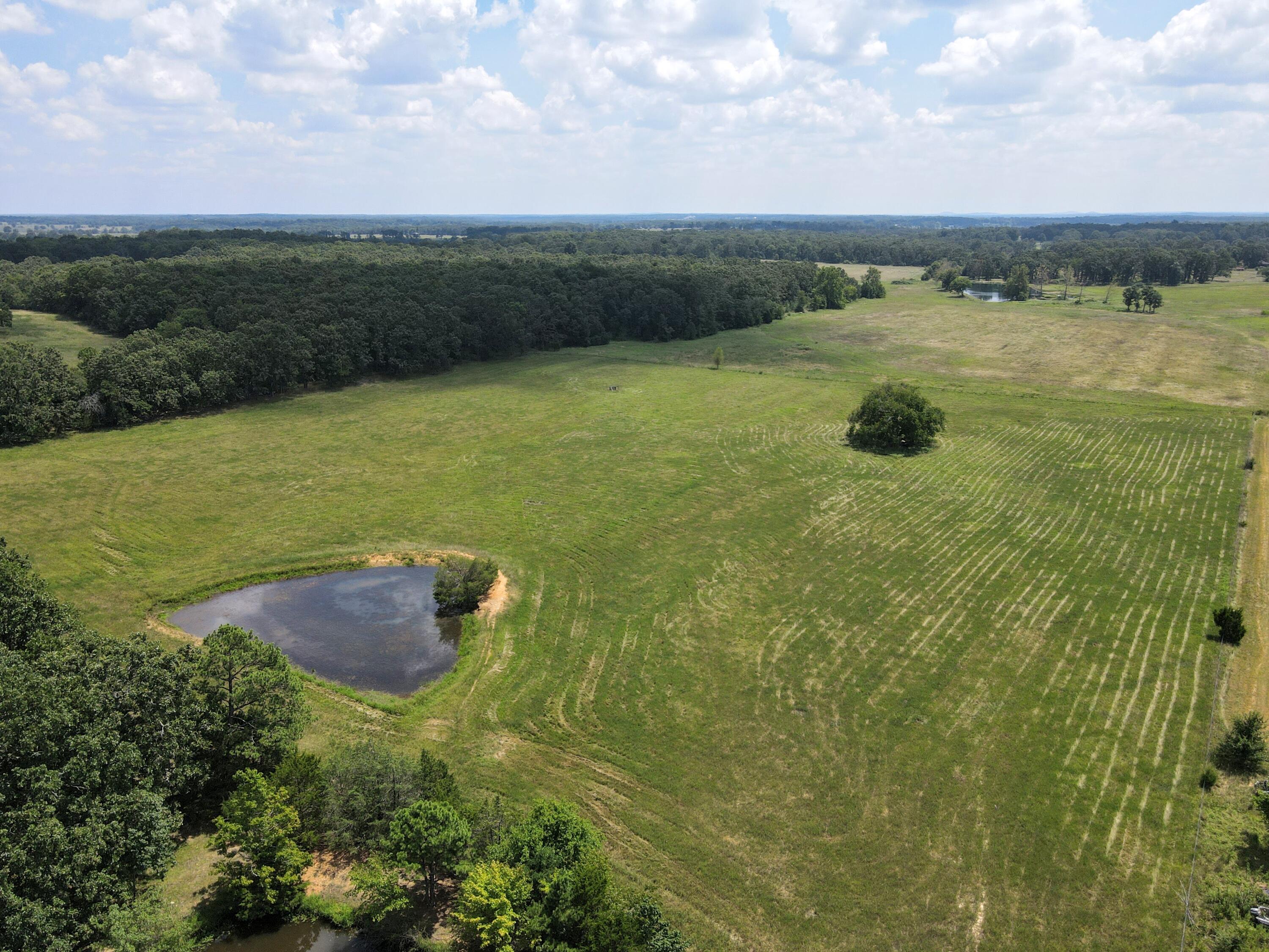 Photo 69 - Farm for sale – 4534  County Road 7000   West Plains, MO