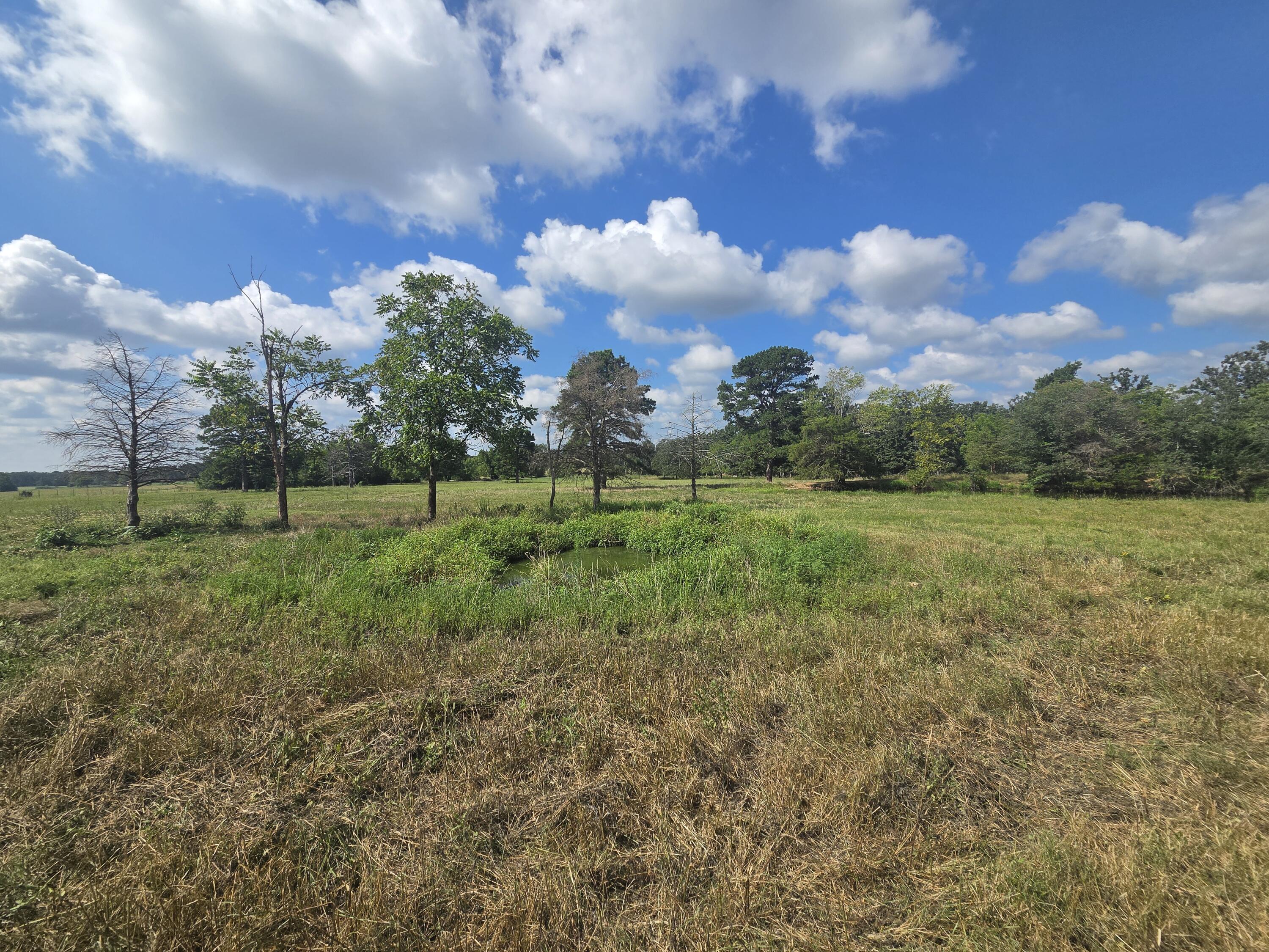 Photo 24 - Farm for sale – 4534  County Road 7000   West Plains, MO