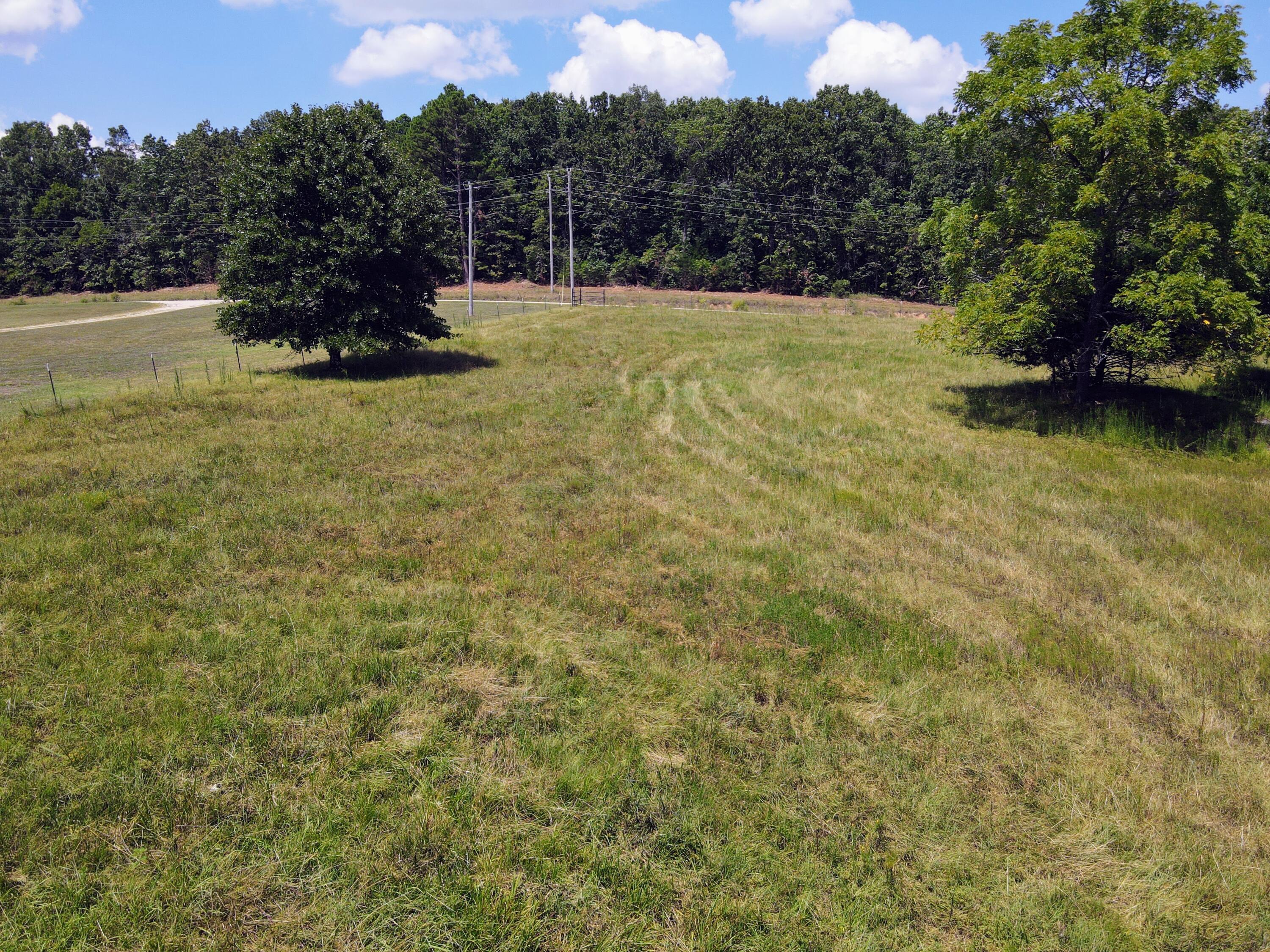 Photo 77 - Farm for sale – 4534  County Road 7000   West Plains, MO