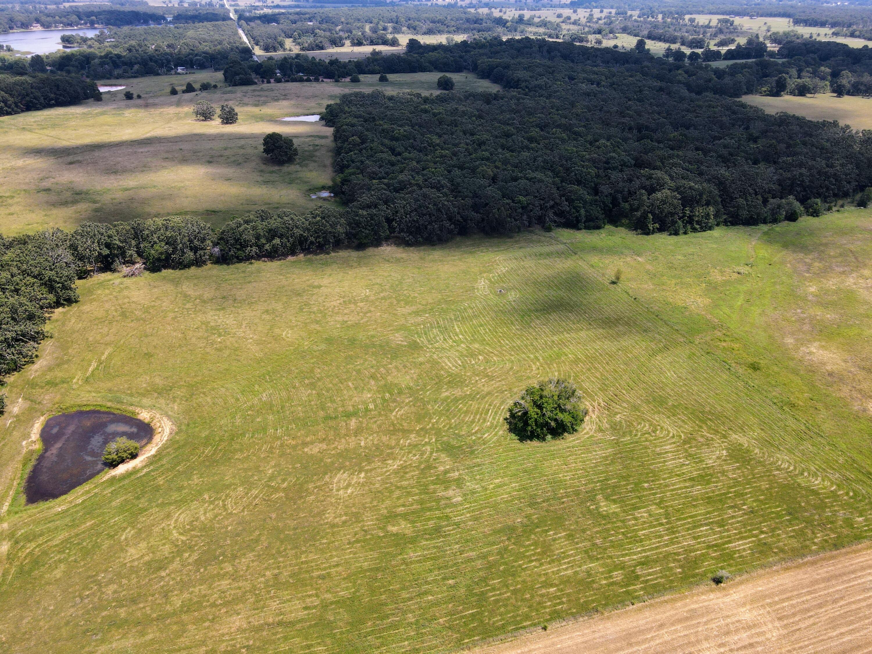 Photo 74 - Farm for sale – 4534  County Road 7000   West Plains, MO