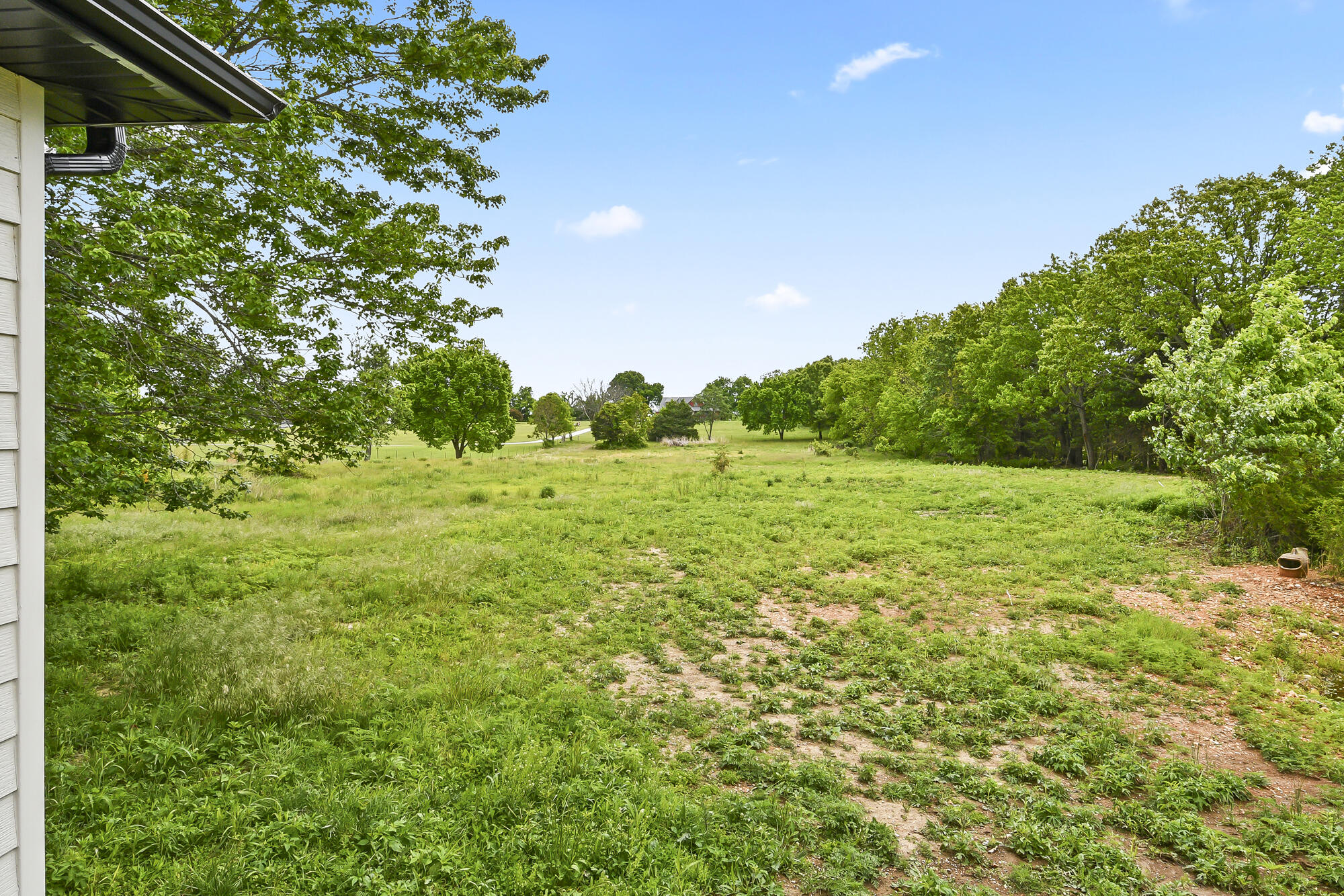 Photo 8 - Residential for sale – 6074 N State Hwy 125   Rogersville, MO