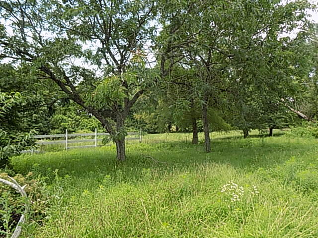 Photo 33 - Residential for sale – 7979  State Highway 14   Sparta, MO