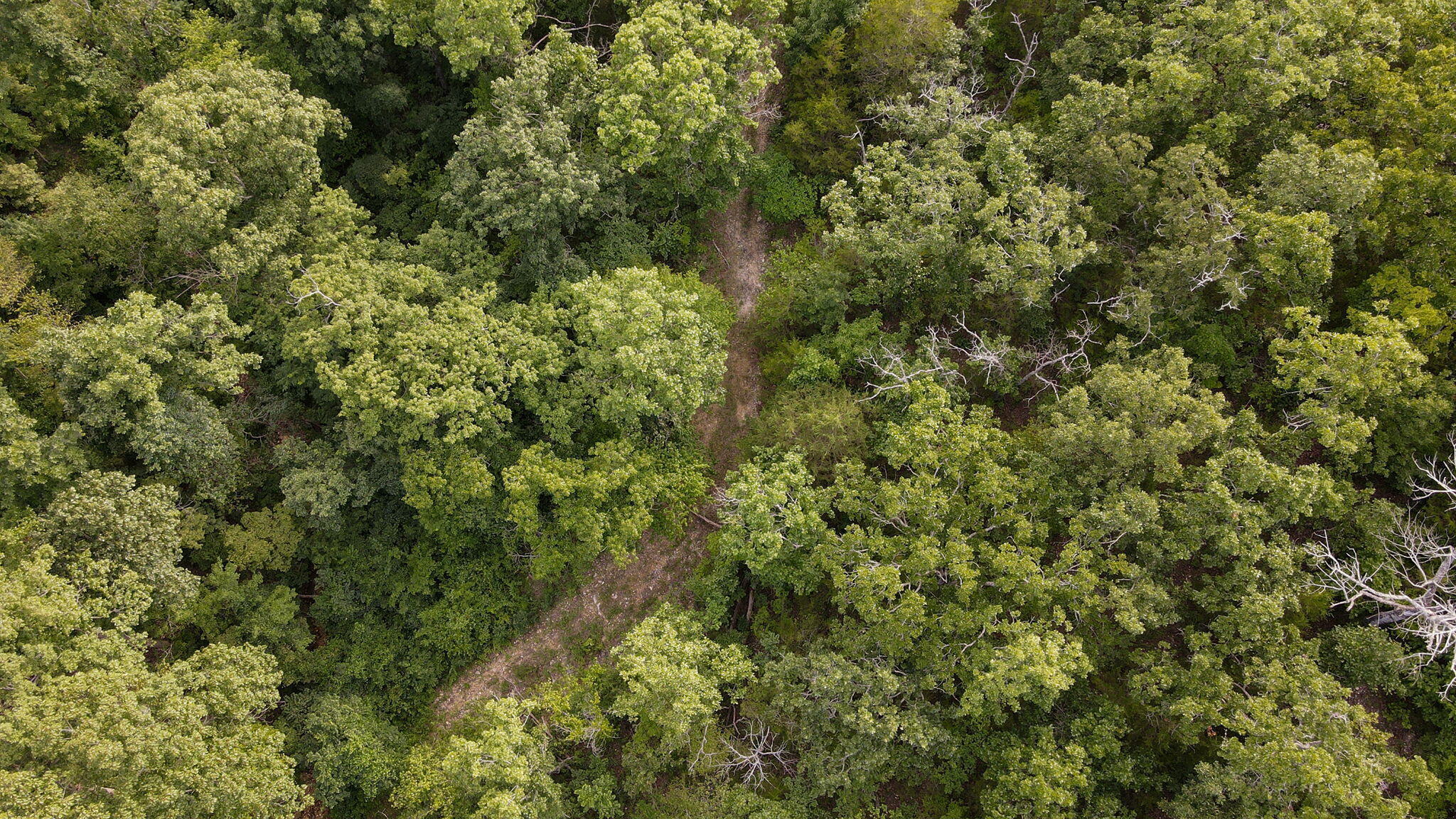 Photo 14 - Land for sale – Lot 13  Lookout Point   Bruner, MO