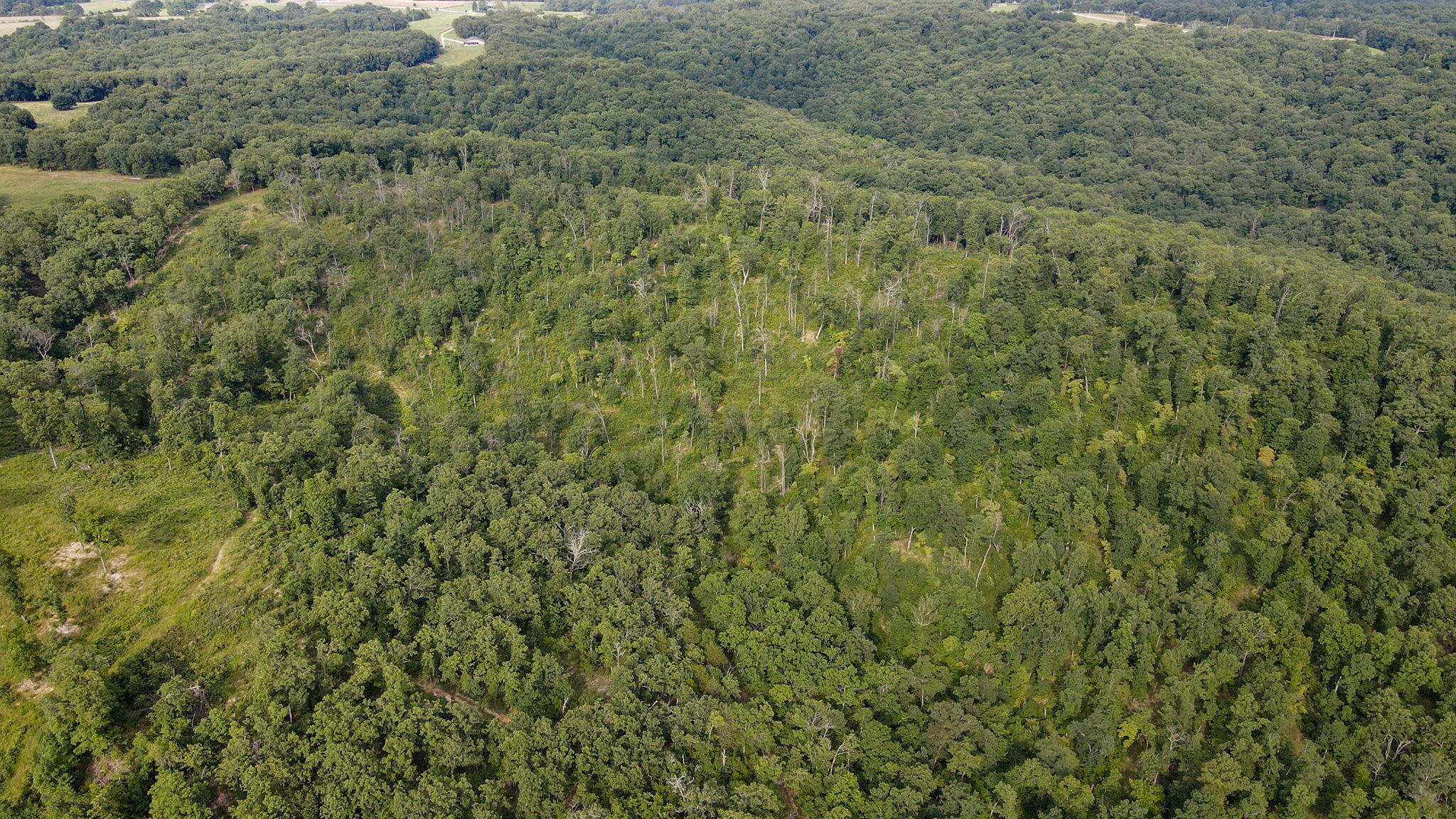 Photo 5 - Land for sale – Lot 13  Lookout Point   Bruner, MO