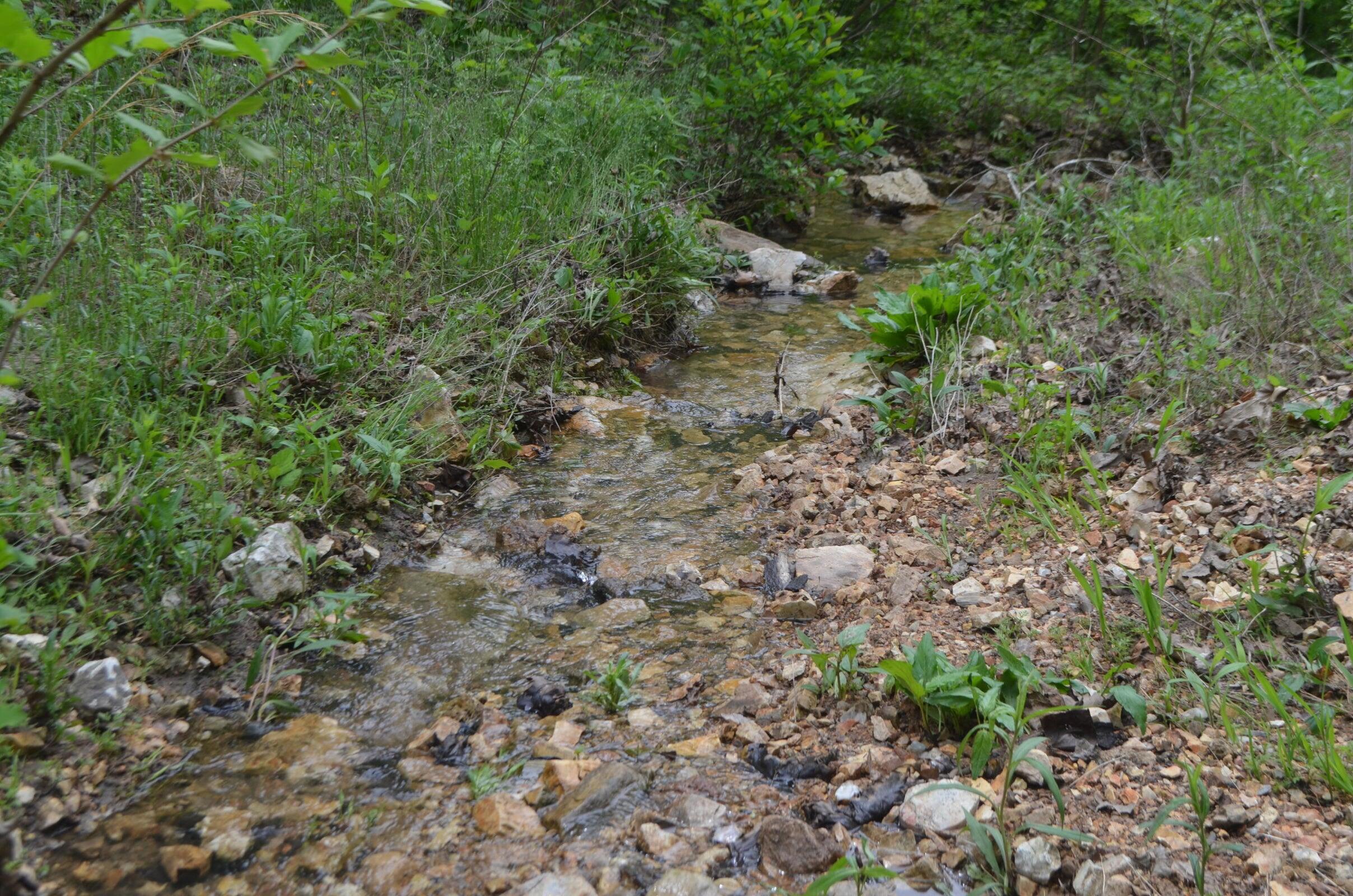 Photo 19 - Land for sale – Lot 13  Lookout Point   Bruner, MO