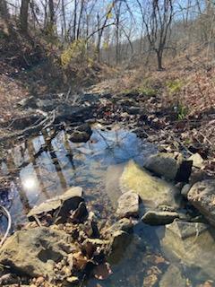 Photo 17 - Land for sale – Lot 13  Lookout Point   Bruner, MO