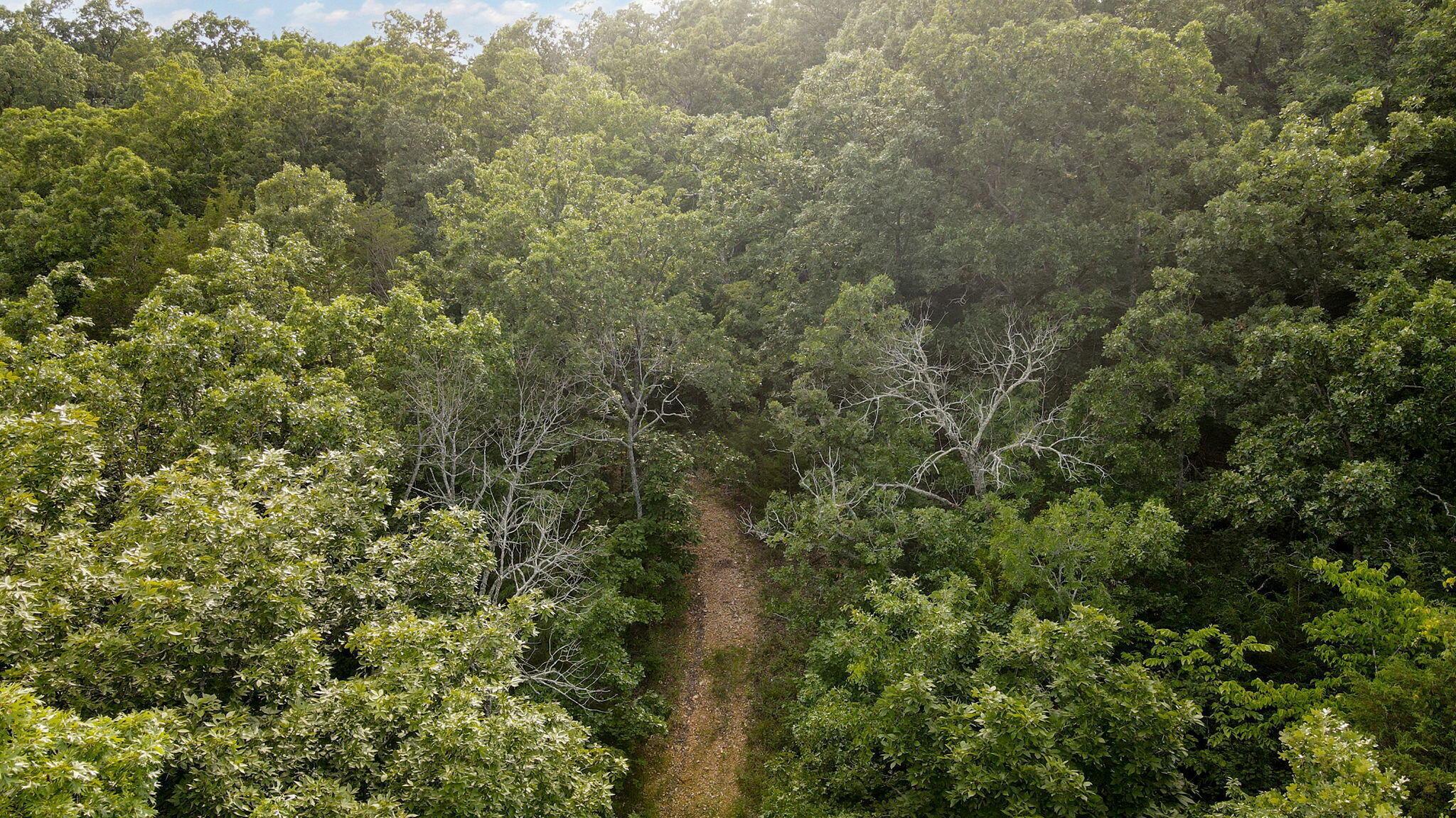 Photo 12 - Land for sale – Lot 13  Lookout Point   Bruner, MO