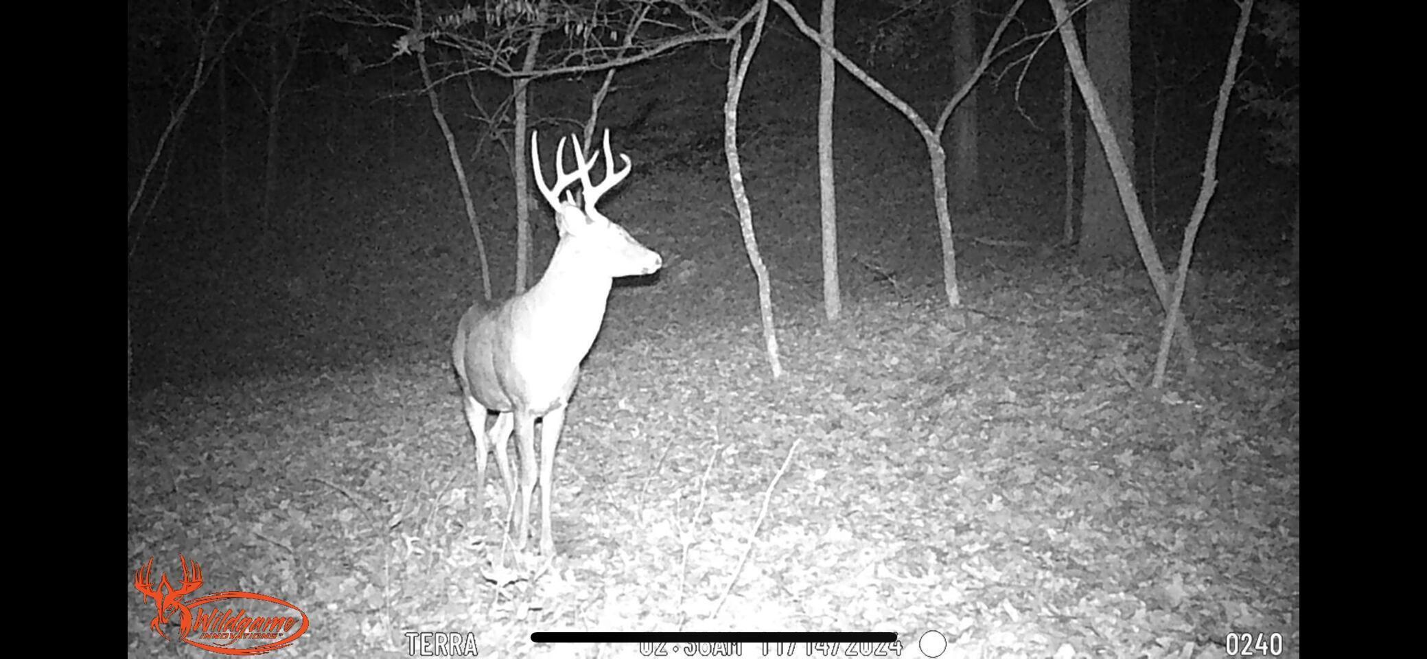 Photo 3 - Land for sale – Lot 13  Lookout Point   Bruner, MO
