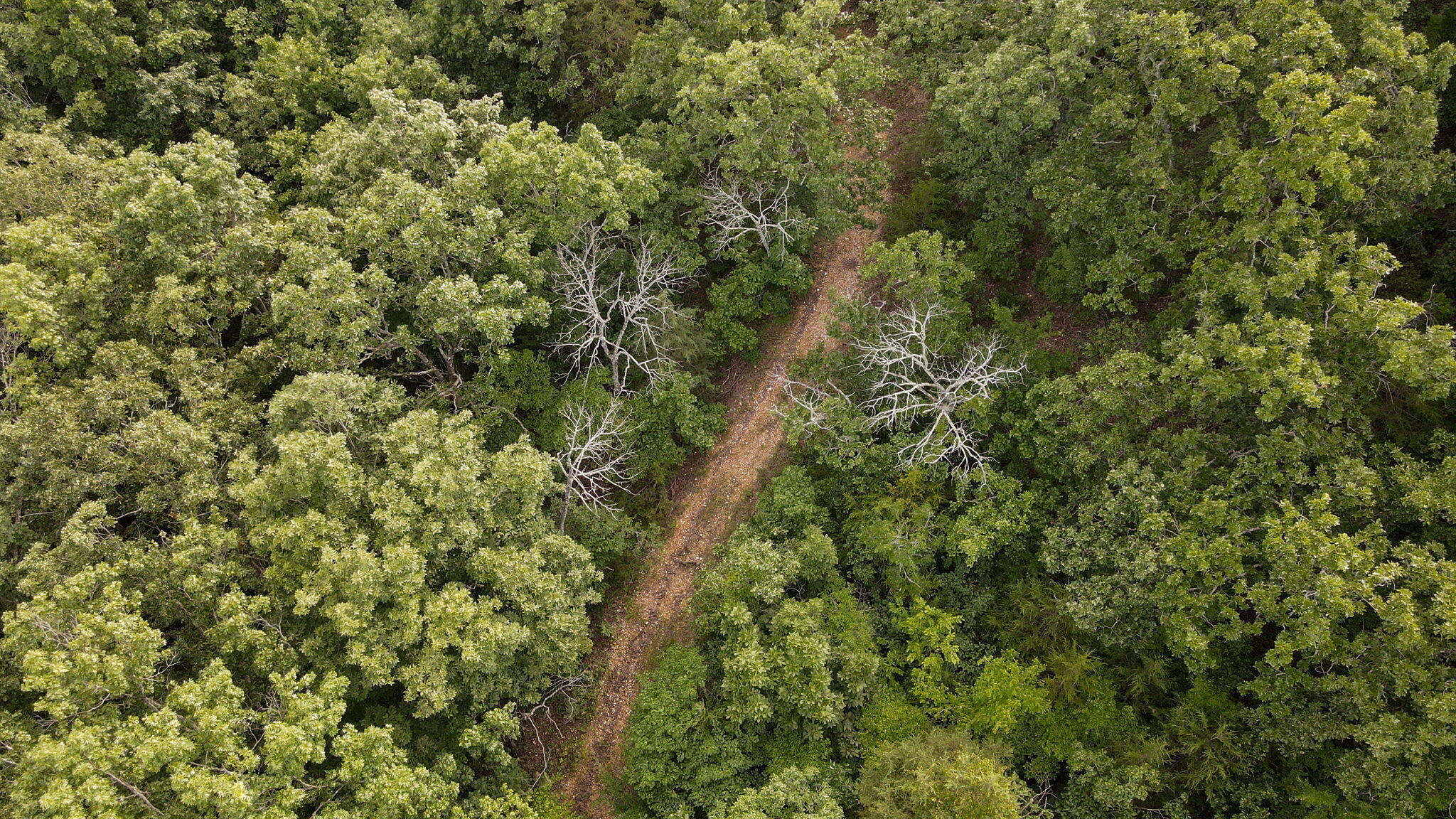 Photo 13 - Land for sale – Lot 13  Lookout Point   Bruner, MO