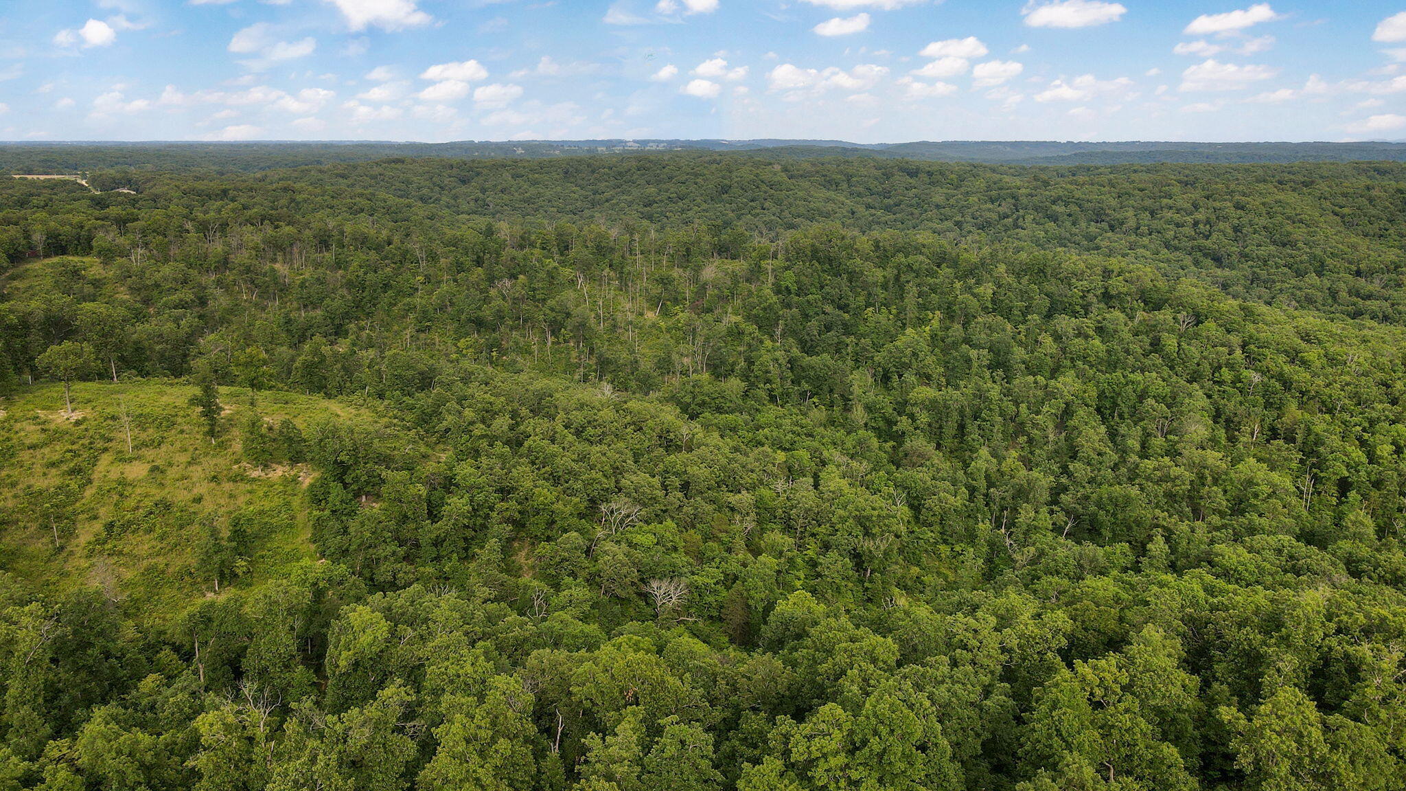Photo 22 - Land for sale – Lot 13  Lookout Point   Bruner, MO
