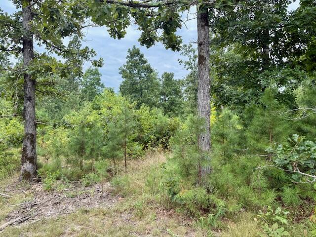Photo 59 - Residential for sale – 7195  Highway Kk   Hartshorn, MO