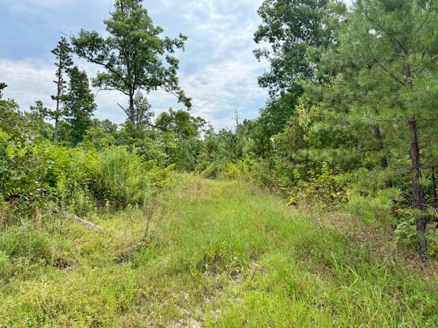 Photo 54 - Residential for sale – 7195  Highway Kk   Hartshorn, MO