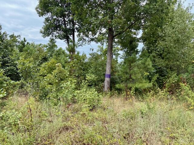 Photo 55 - Residential for sale – 7195  Highway Kk   Hartshorn, MO