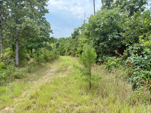 Photo 57 - Residential for sale – 7195  Highway Kk   Hartshorn, MO