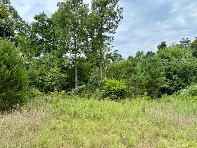 Photo 56 - Residential for sale – 7195  Highway Kk   Hartshorn, MO
