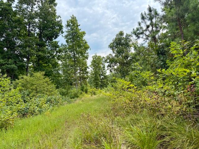 Photo 53 - Residential for sale – 7195  Highway Kk   Hartshorn, MO