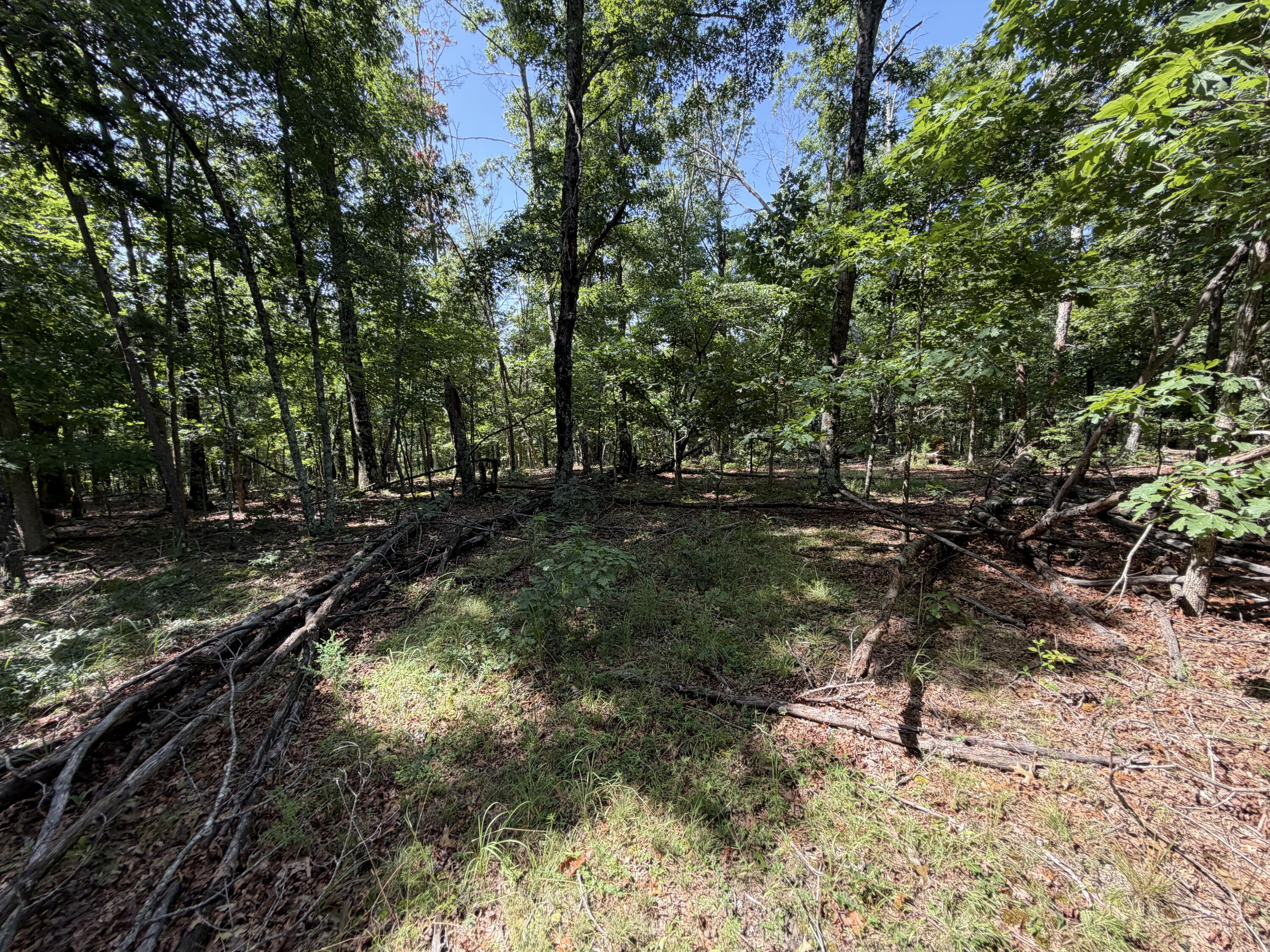 Photo 13 - Land for sale – 000  Golden Trail  Raymondville, MO