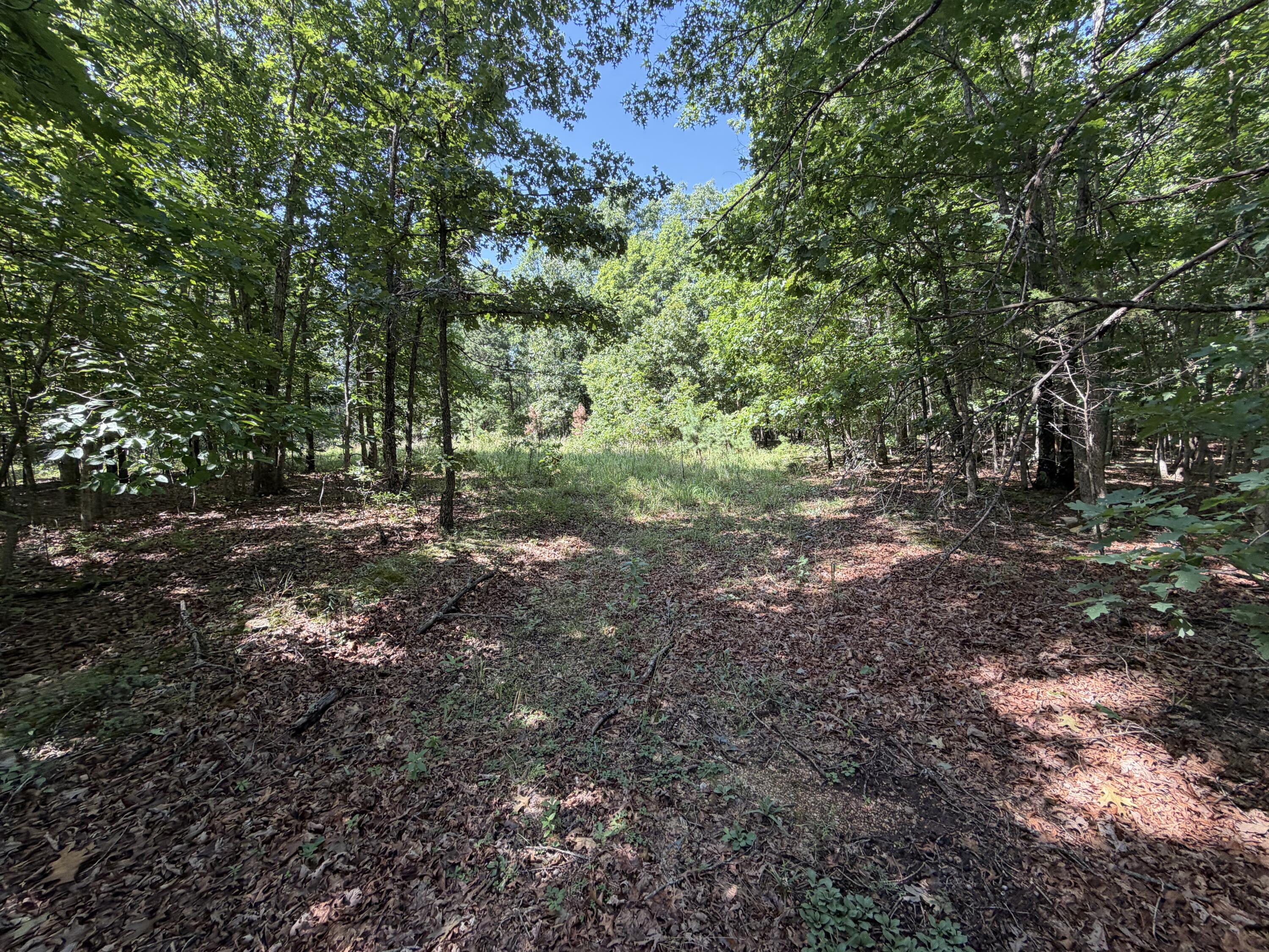 Land for sale – 000  Golden Trail  Raymondville, MO