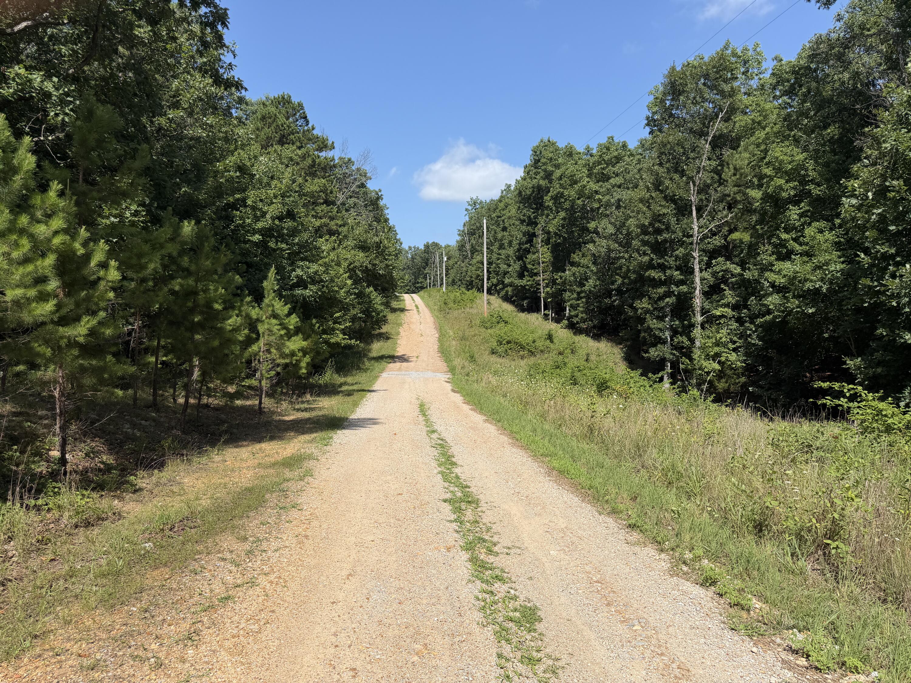 Photo 6 - Land for sale – 000  Golden Trail  Raymondville, MO