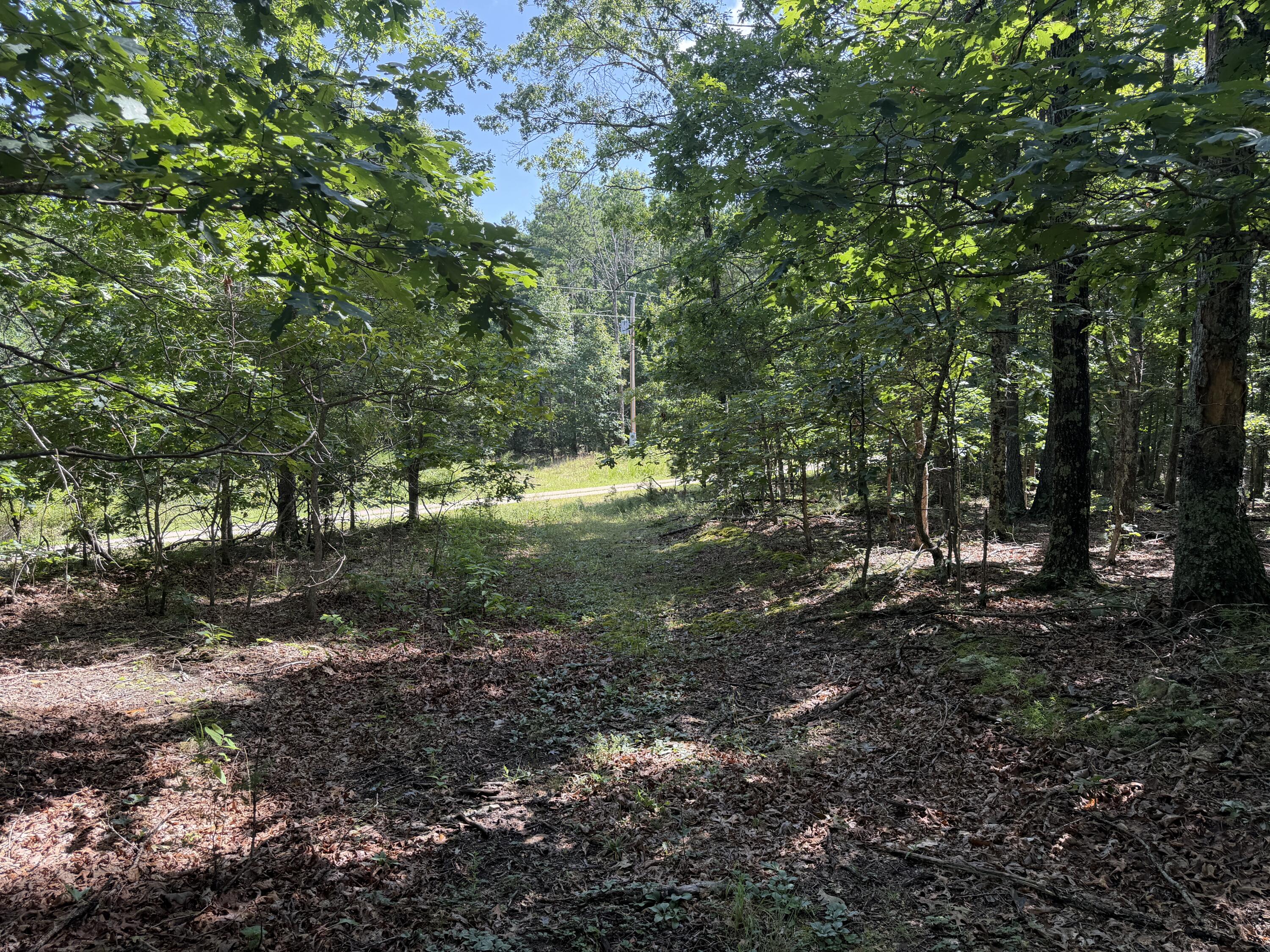 Photo 15 - Land for sale – 000  Golden Trail  Raymondville, MO
