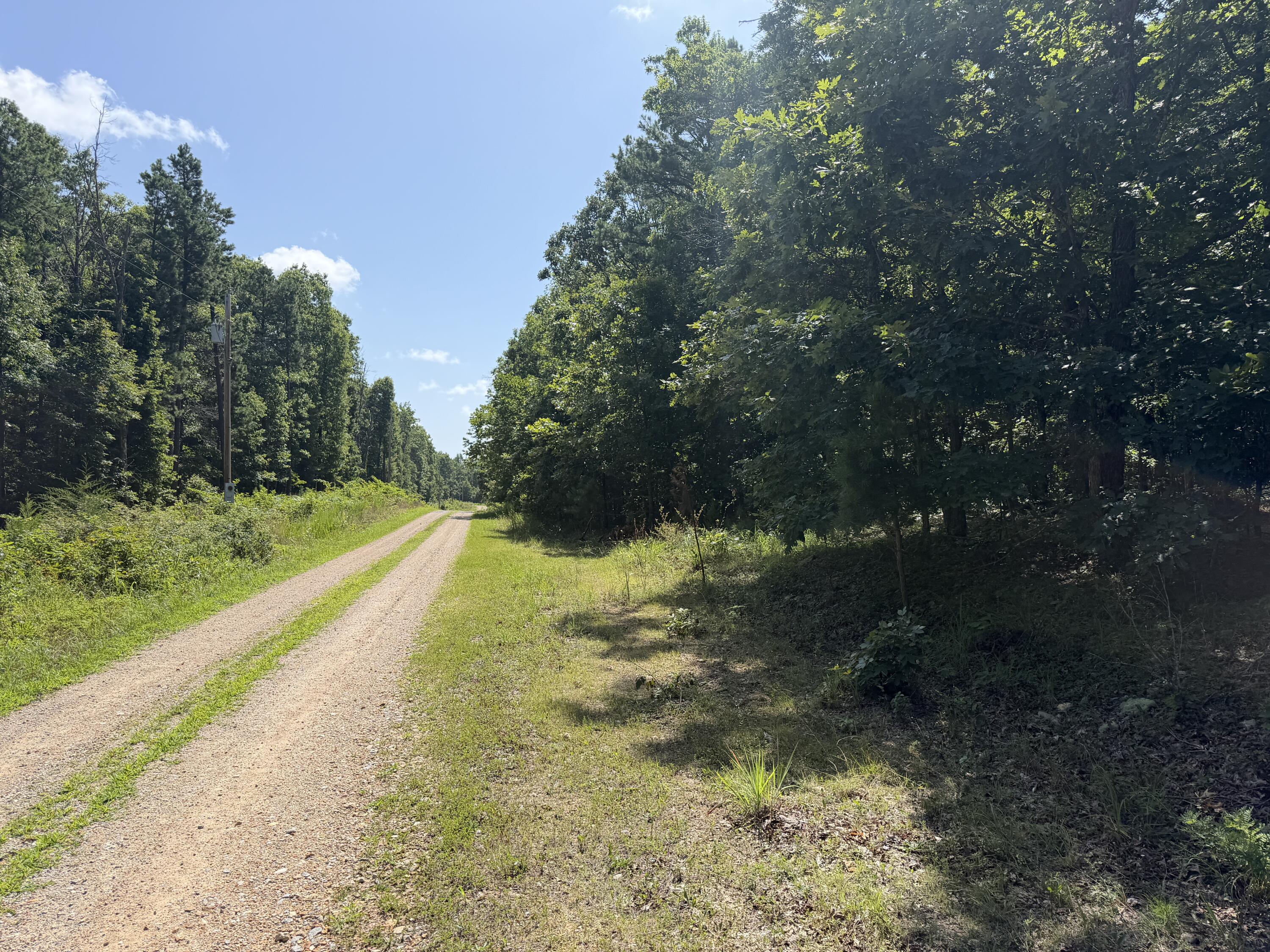 Photo 4 - Land for sale – 000  Golden Trail  Raymondville, MO