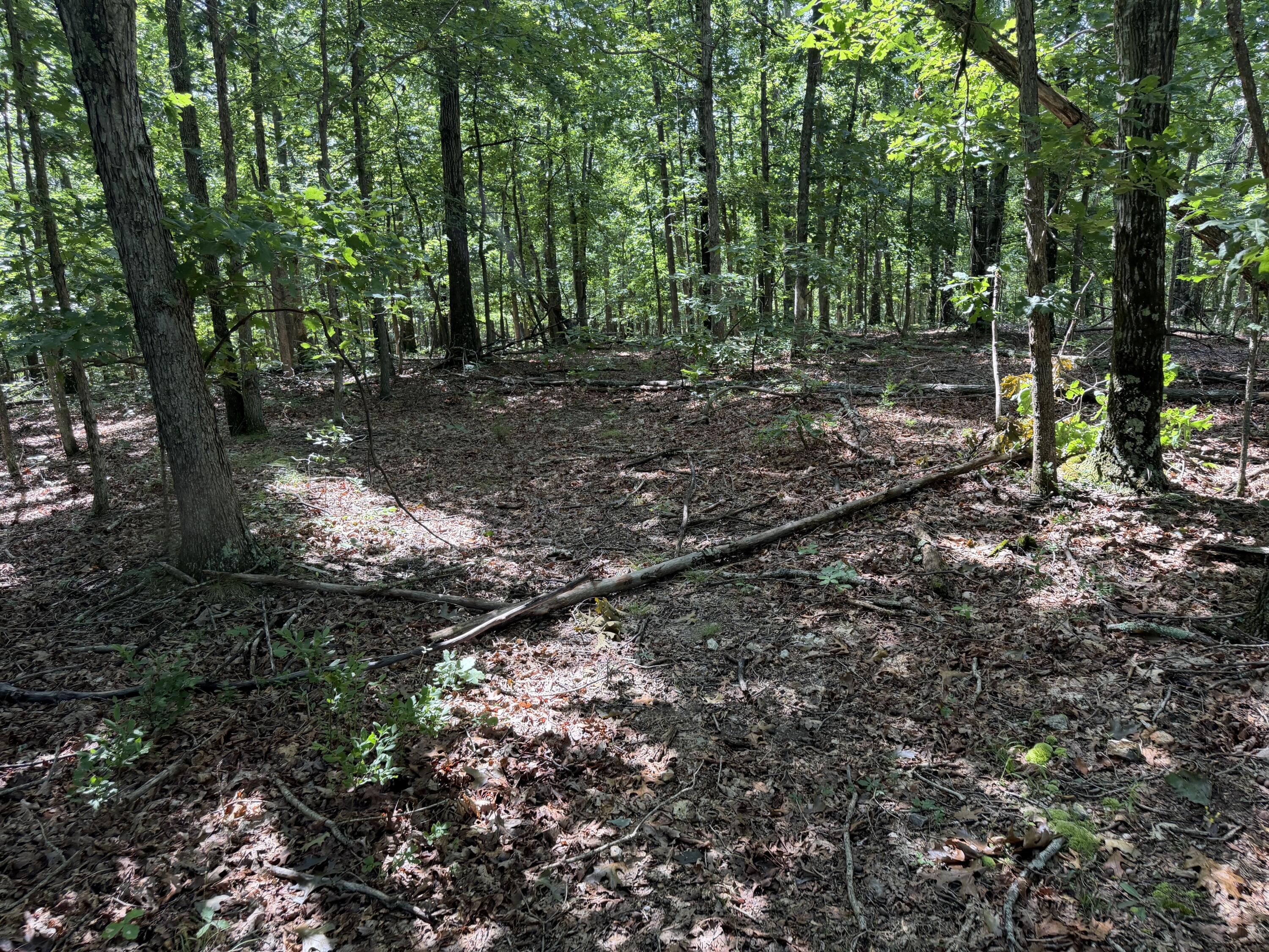 Photo 11 - Land for sale – 000  Golden Trail  Raymondville, MO