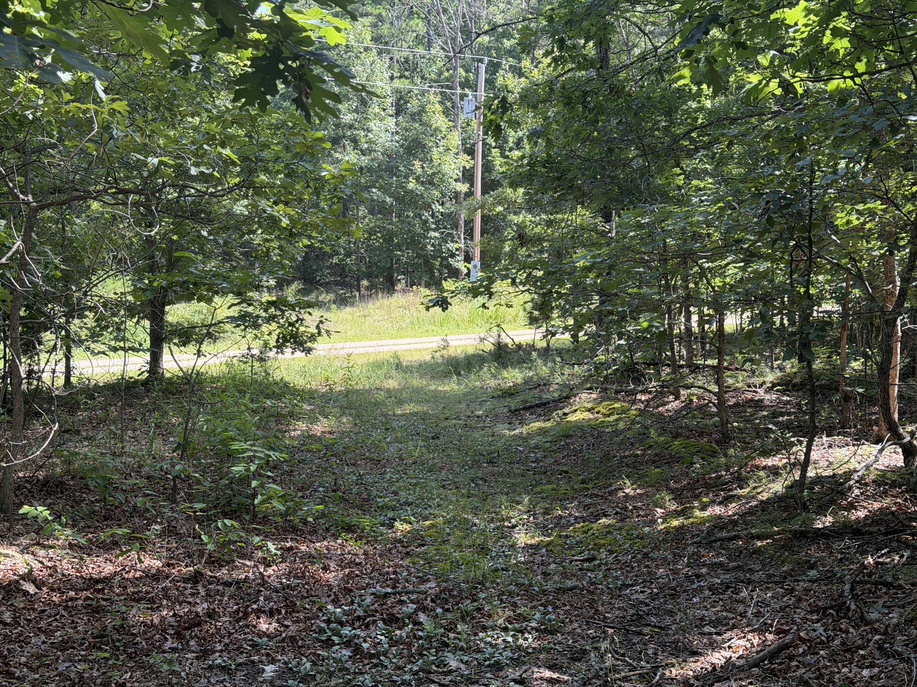 Photo 2 - Land for sale – 000  Golden Trail  Raymondville, MO