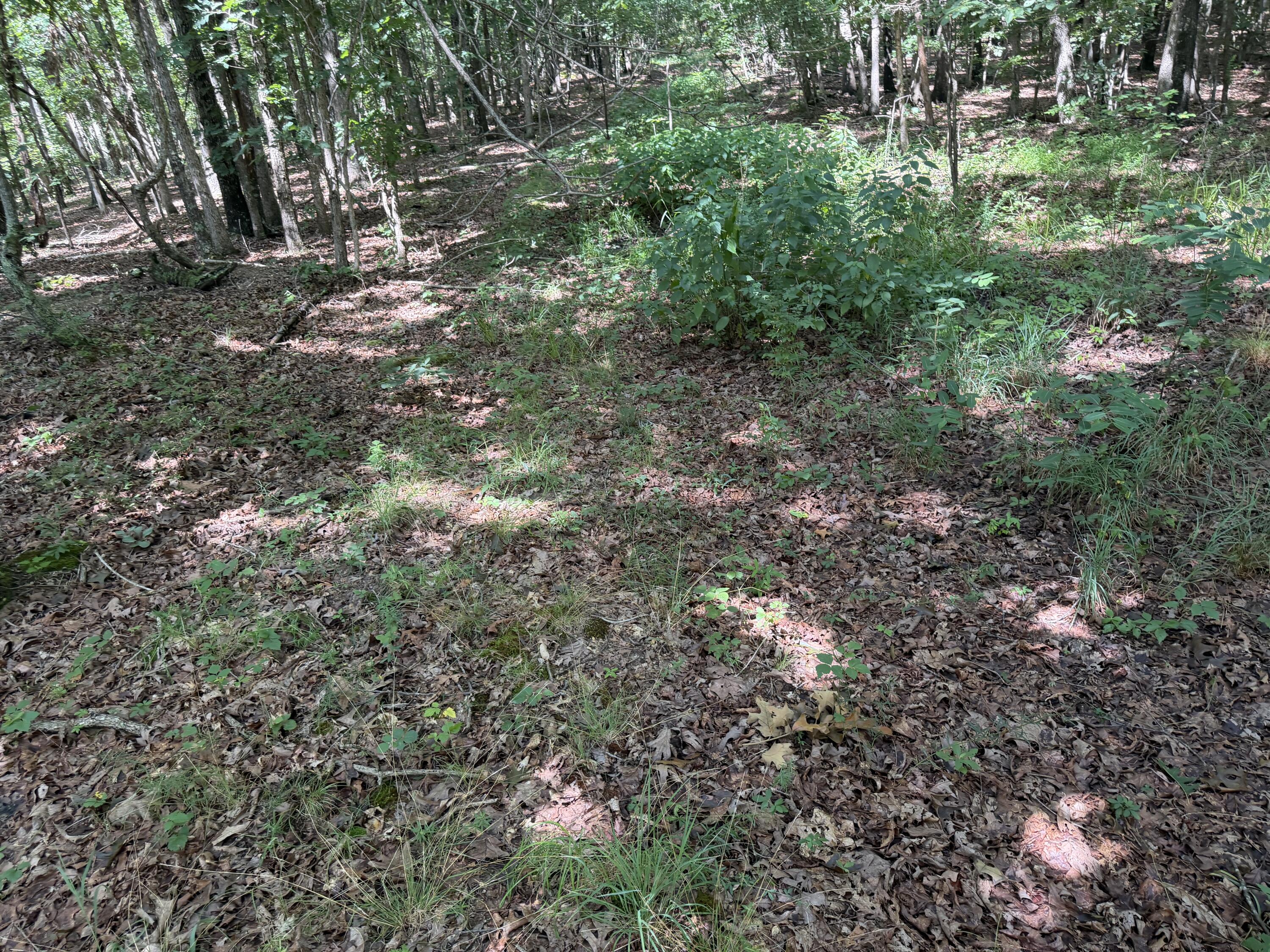 Photo 17 - Land for sale – 000  Golden Trail  Raymondville, MO